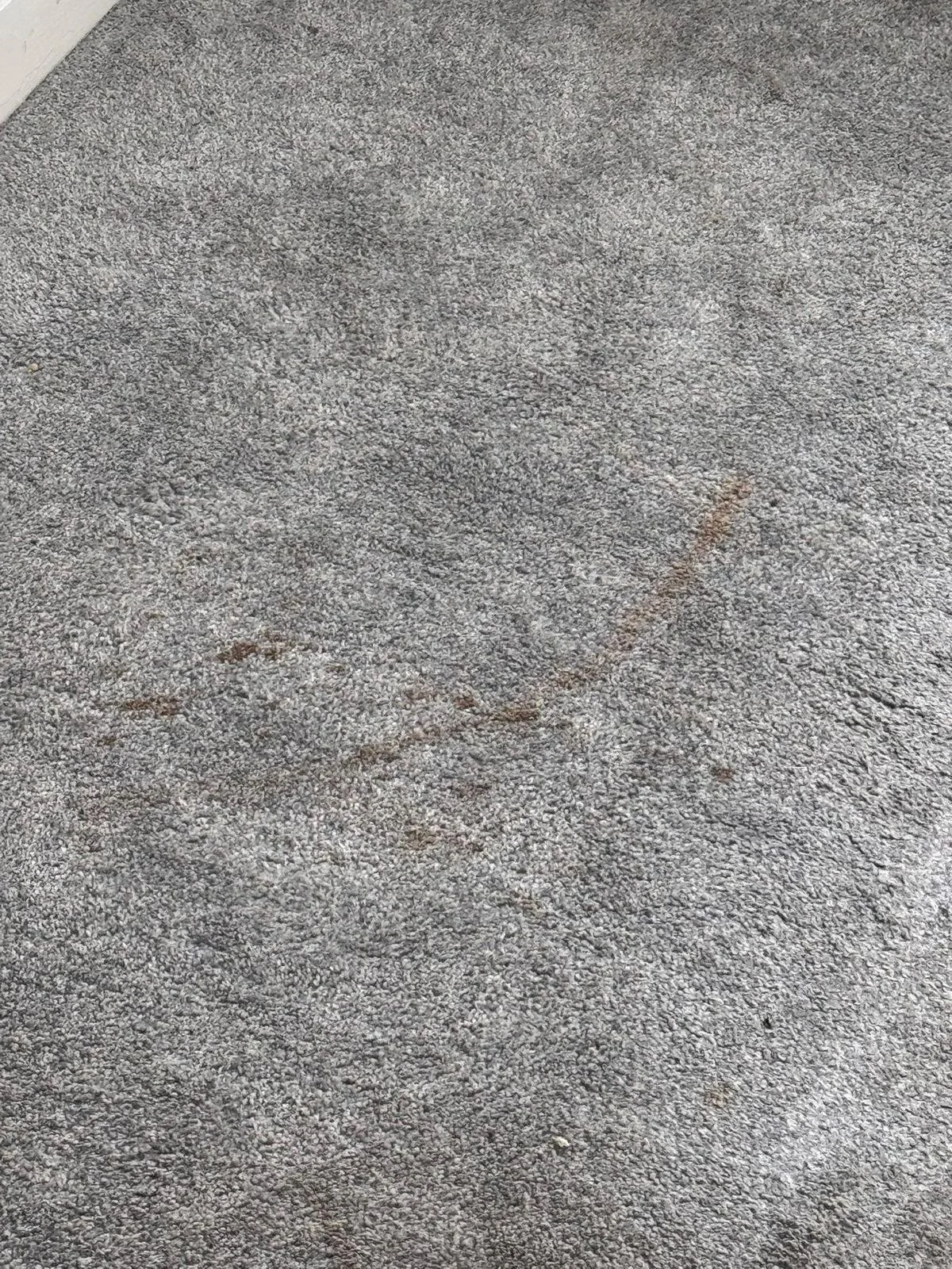 WhatsApp Image 2024-11-18 at 12.49.46 PM (4).jpeg