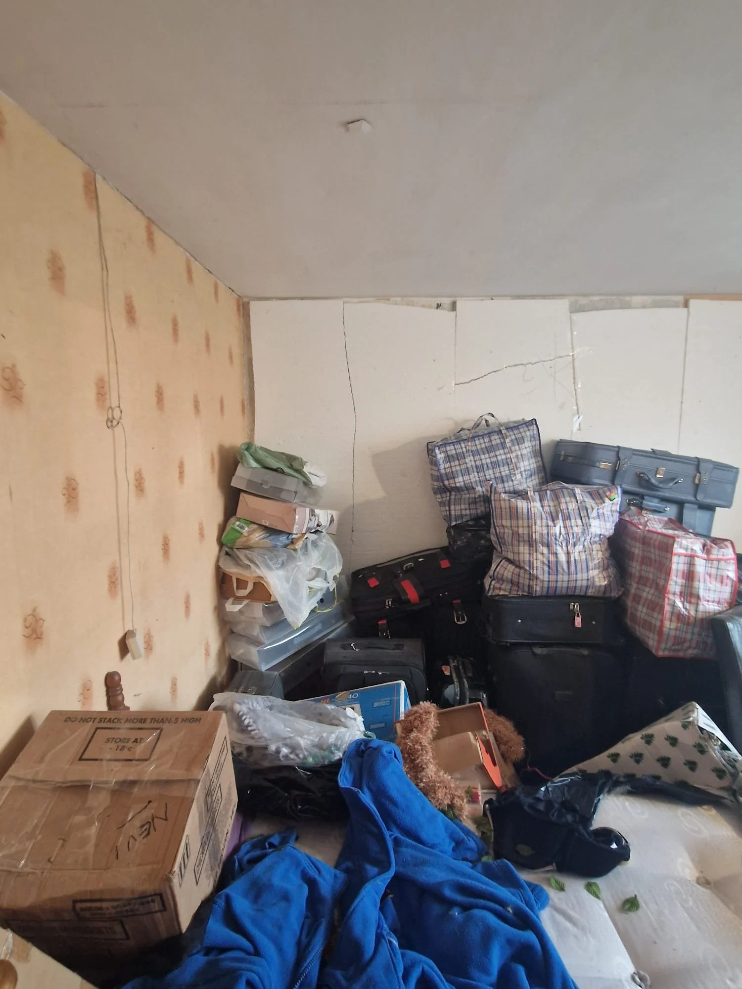 WhatsApp Image 2024-11-14 at 22.55.23 (5).jpeg