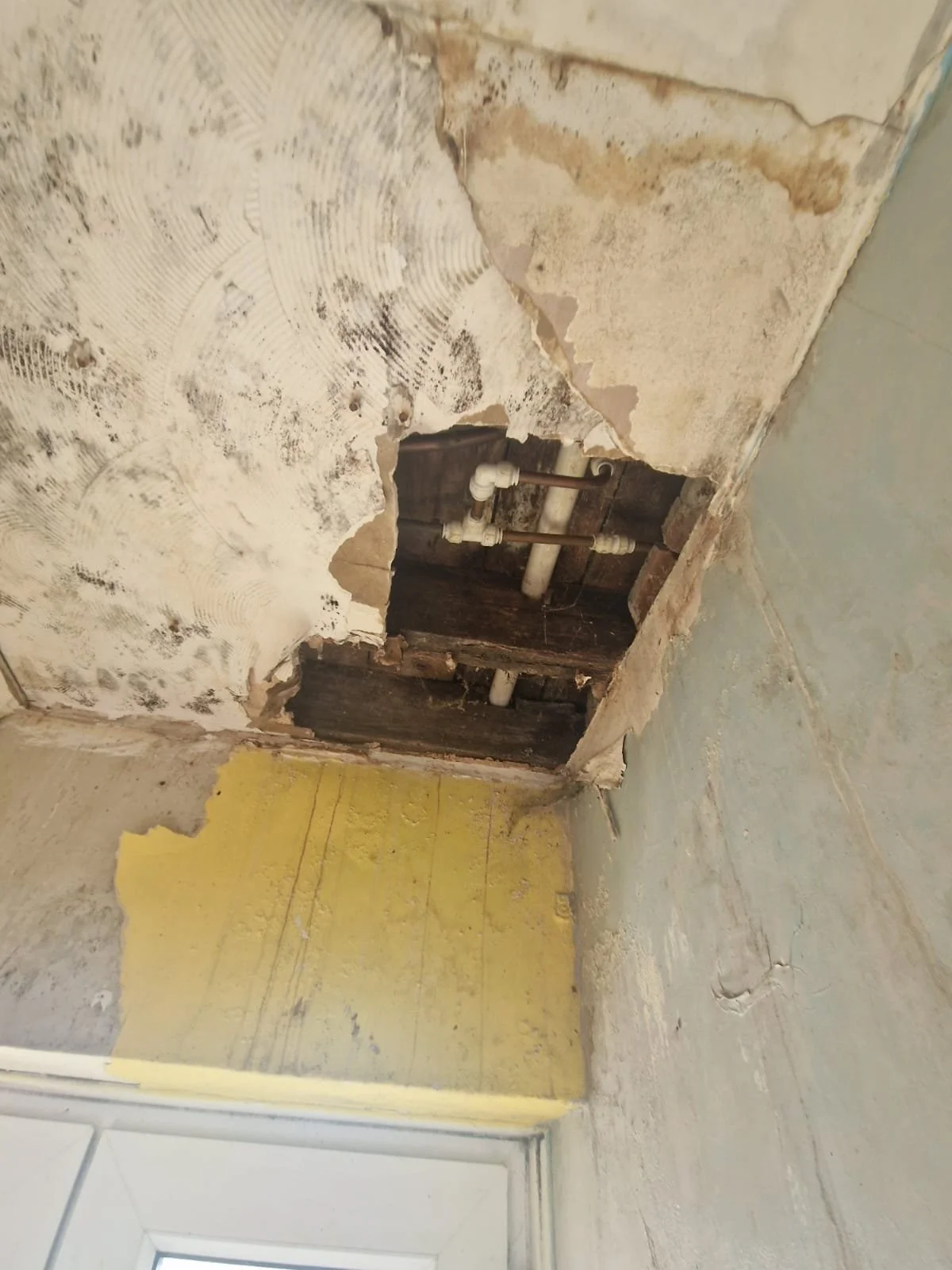 WhatsApp Image 2025-04-24 at 21.56.12 (1).jpeg