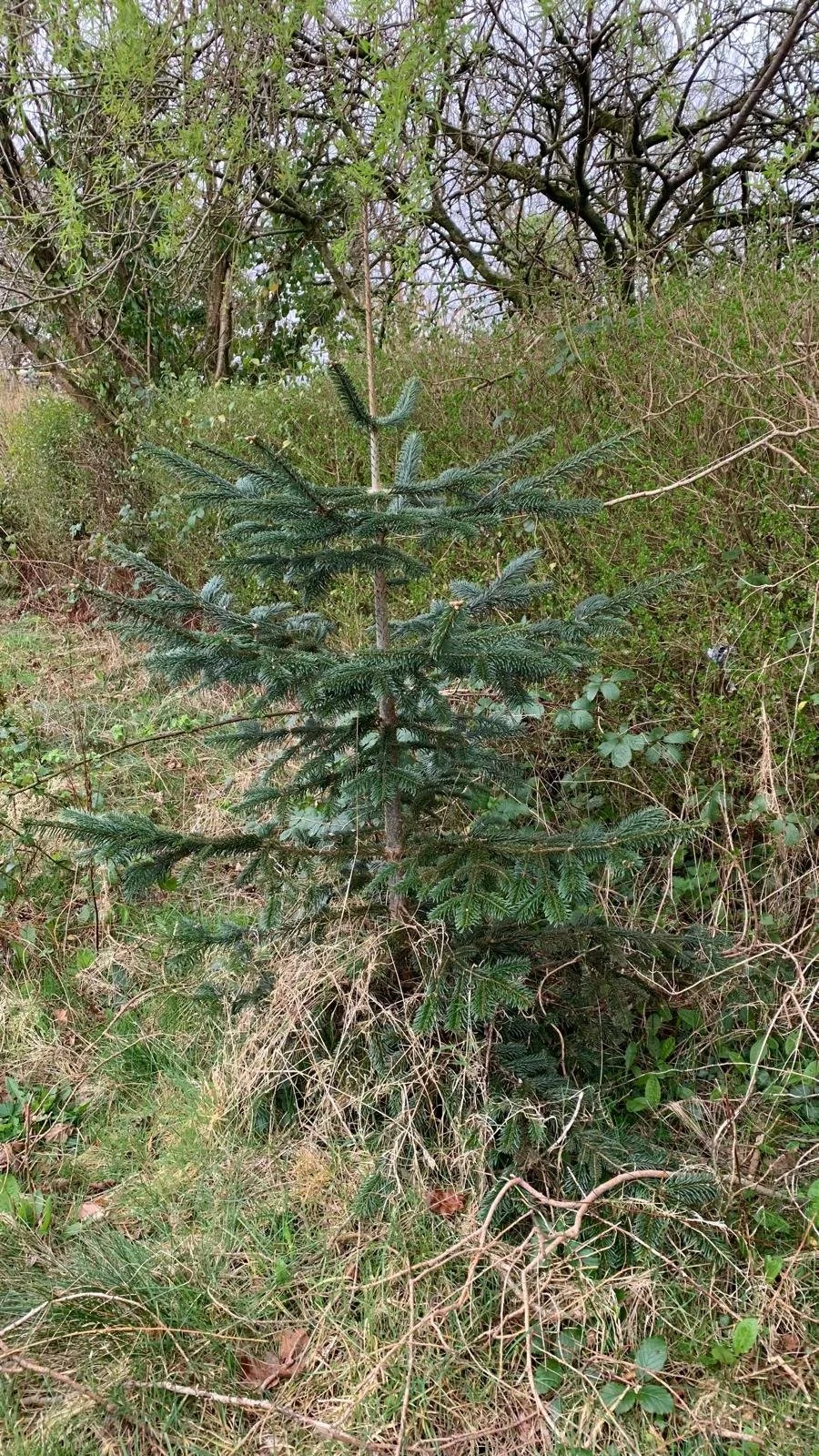 WhatsApp Image 2025-05-20 at 13.11.05 (16).jpeg