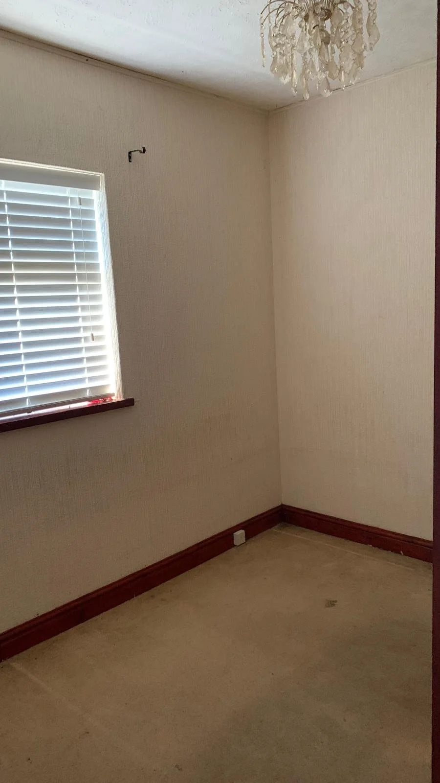 WhatsApp Image 2025-01-13 at 14.22.14 (15).jpeg