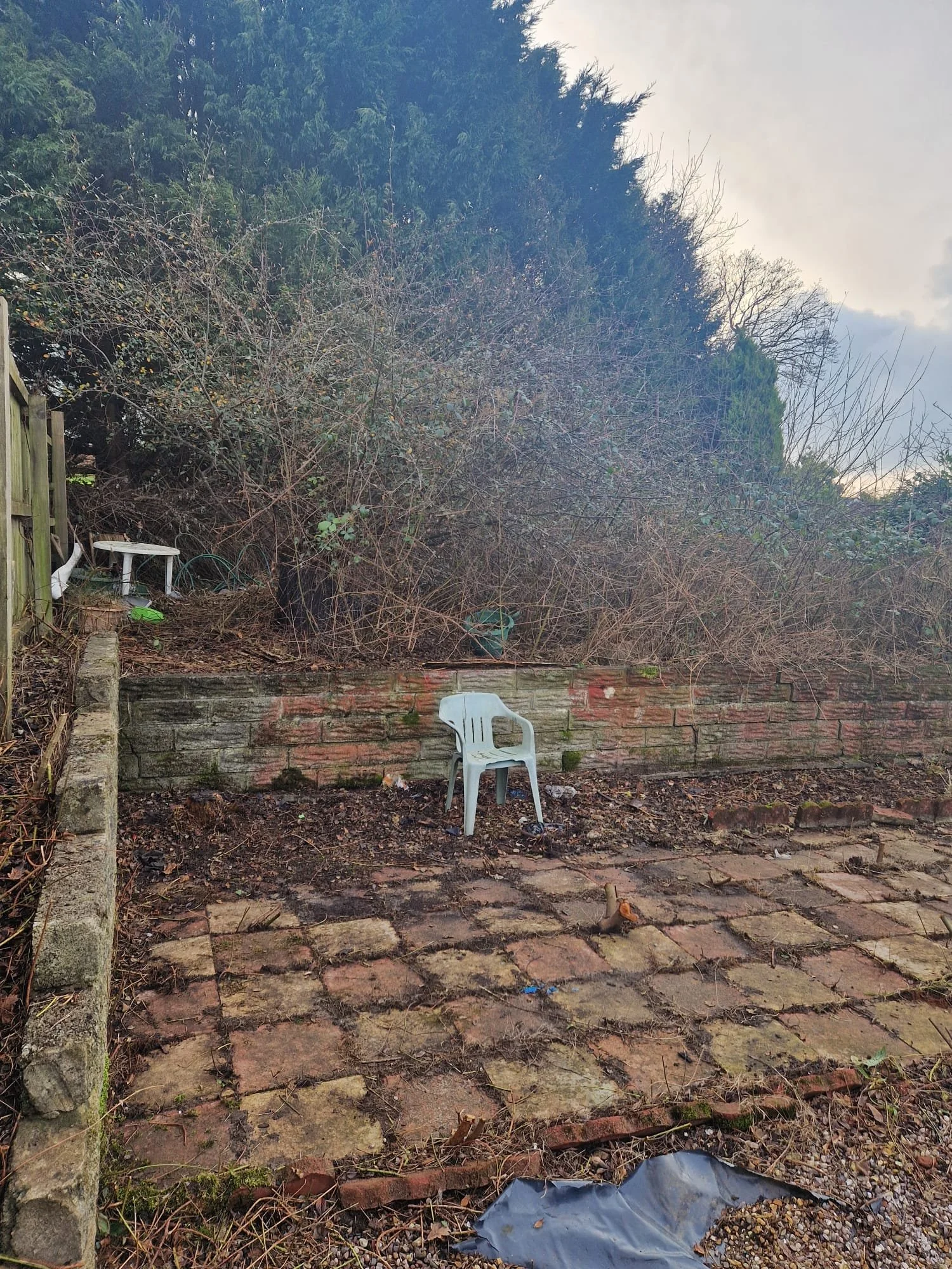 WhatsApp Image 2025-01-23 at 12.08.56 (3).jpeg