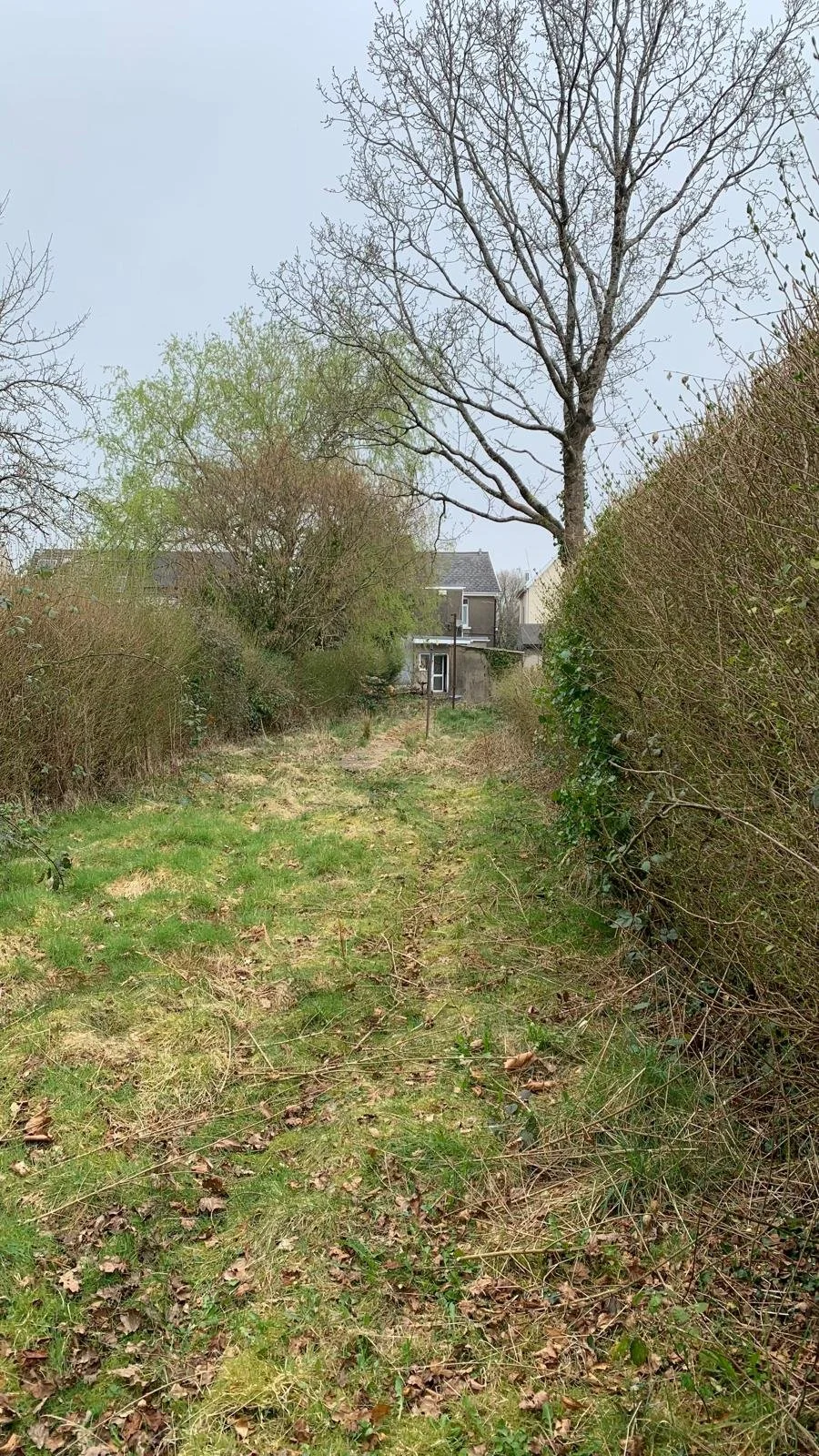 WhatsApp Image 2025-05-20 at 13.11.05 (14).jpeg