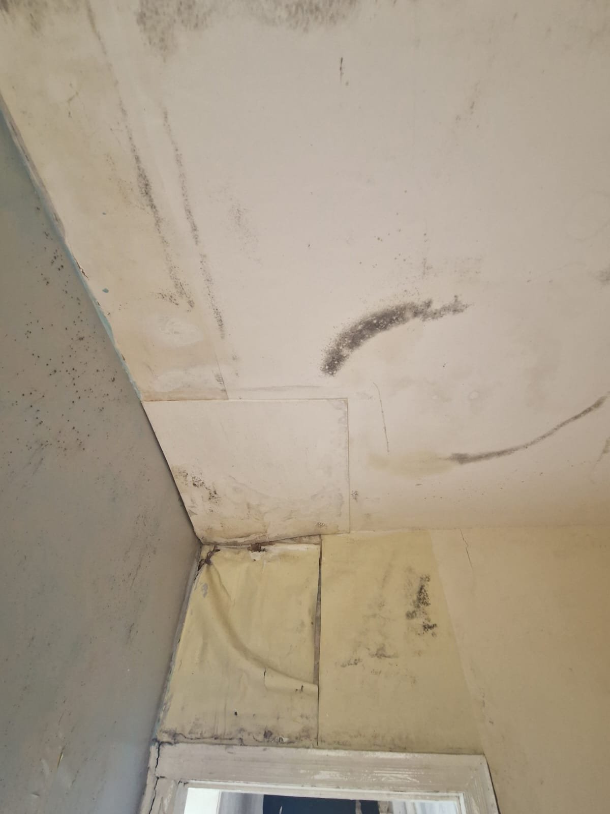 WhatsApp Image 2025-04-24 at 21.56.12 (2).jpeg