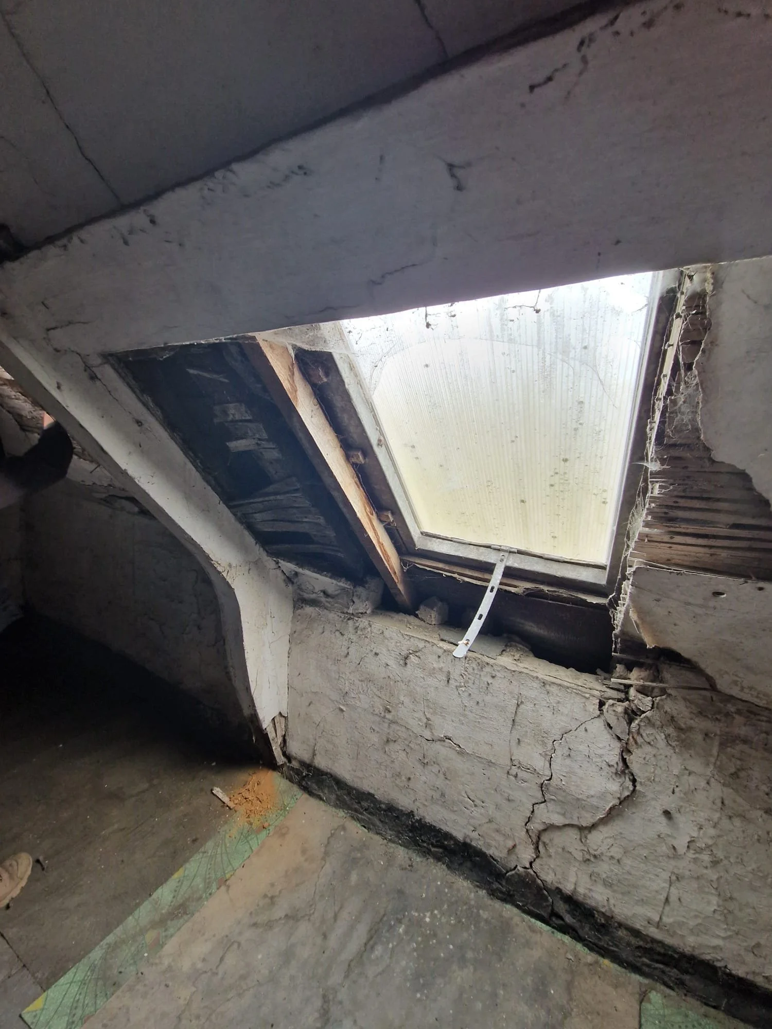 WhatsApp Image 2026-03-08 at 17.09.11 (1).jpeg