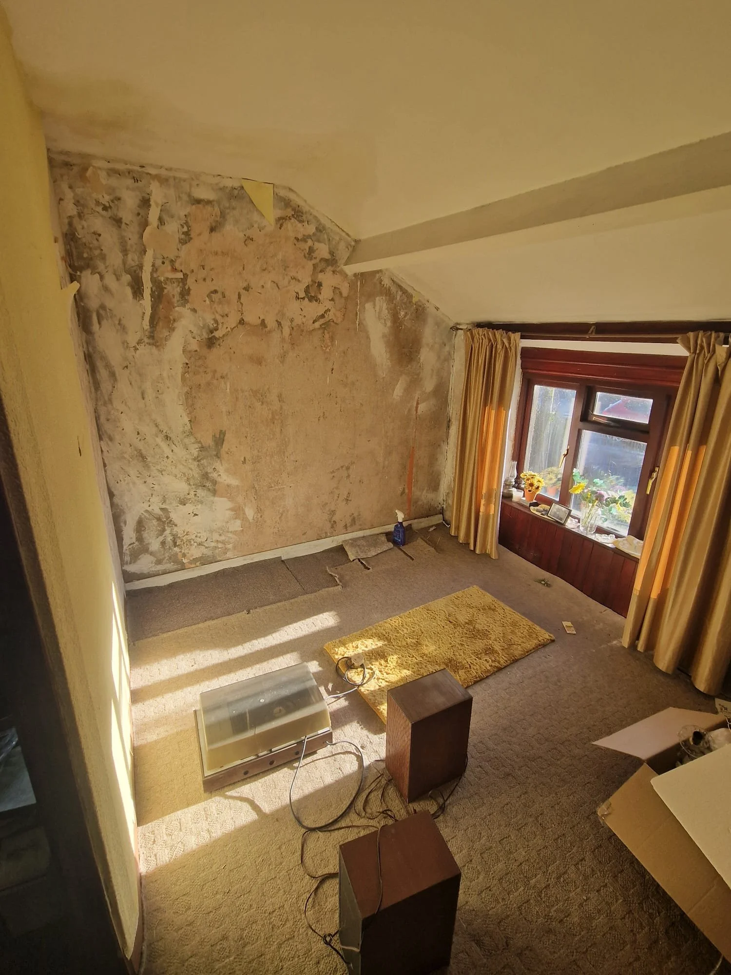 WhatsApp Image 2025-01-06 at 13.47.10 (2).jpeg