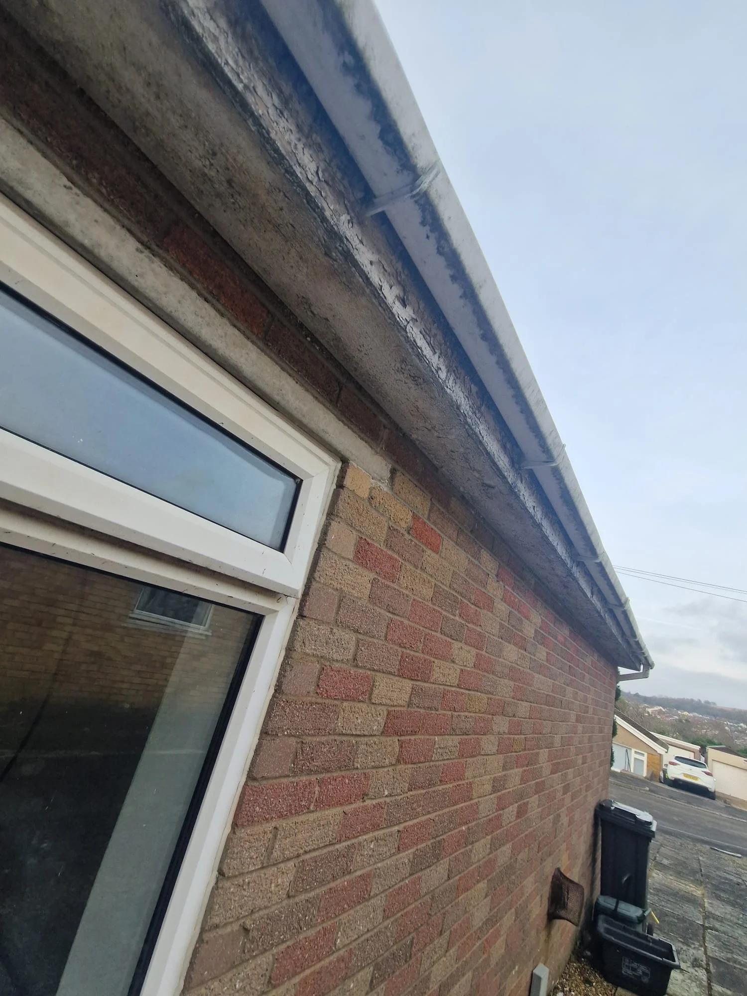 WhatsApp Image 2025-01-23 at 12.08.55.jpeg