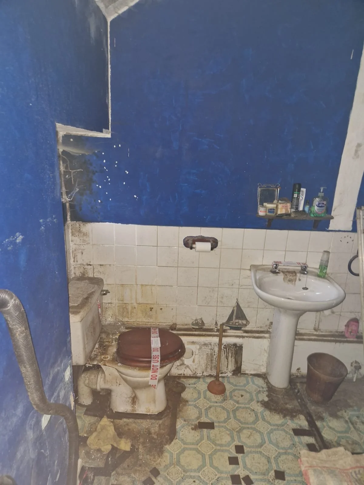 WhatsApp Image 2024-10-19 at 12.33.54.jpeg