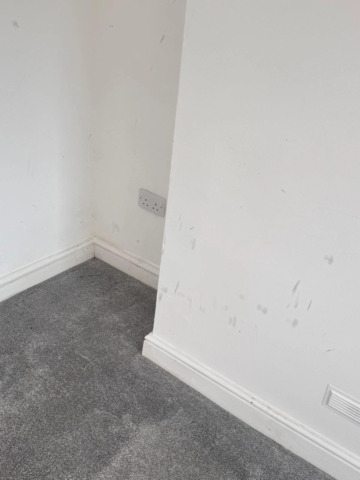 WhatsApp Image 2024-11-18 at 12.49.48 PM.jpeg