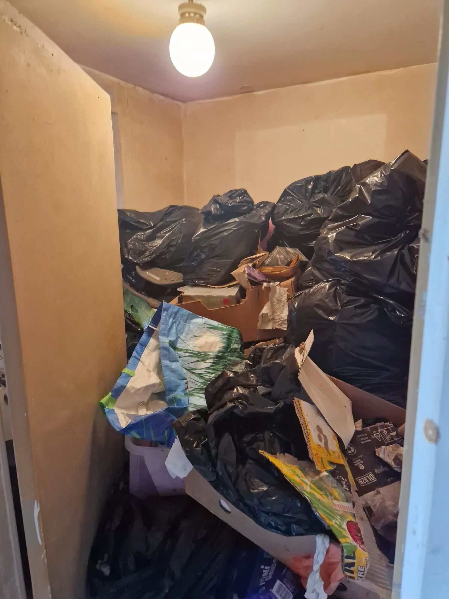 WhatsApp Image 2024-11-14 at 22.55.22.jpeg