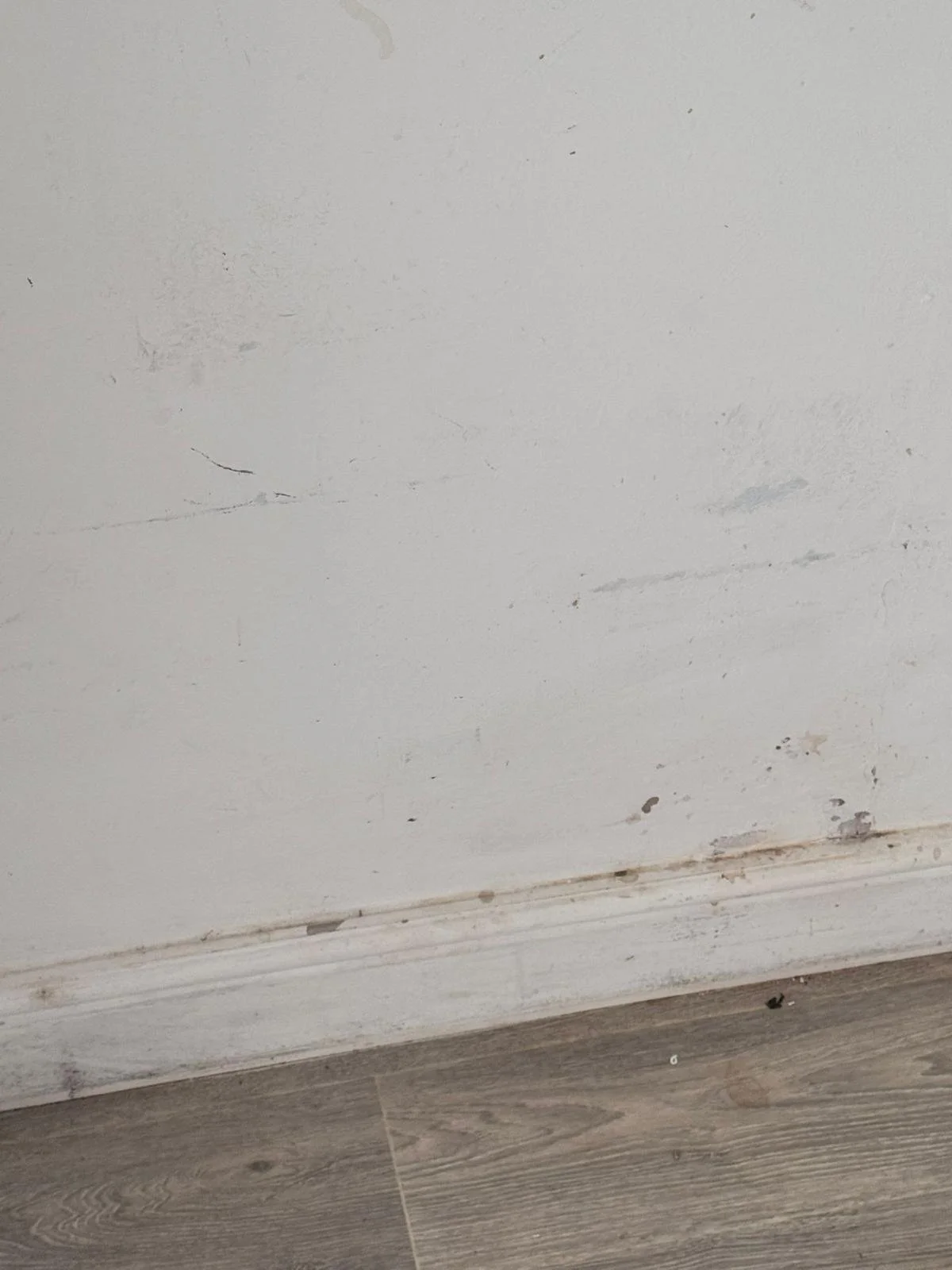 WhatsApp Image 2024-11-18 at 12.49.47 PM.jpeg