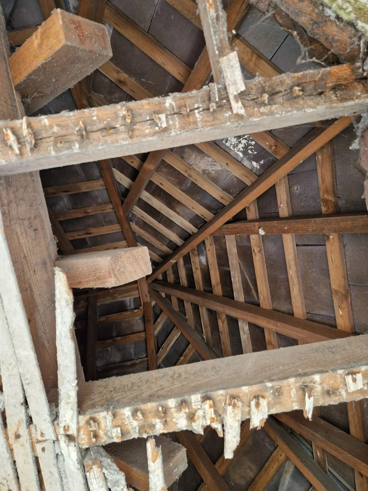 WhatsApp Image 2026-03-30 at 13.06.20.jpeg