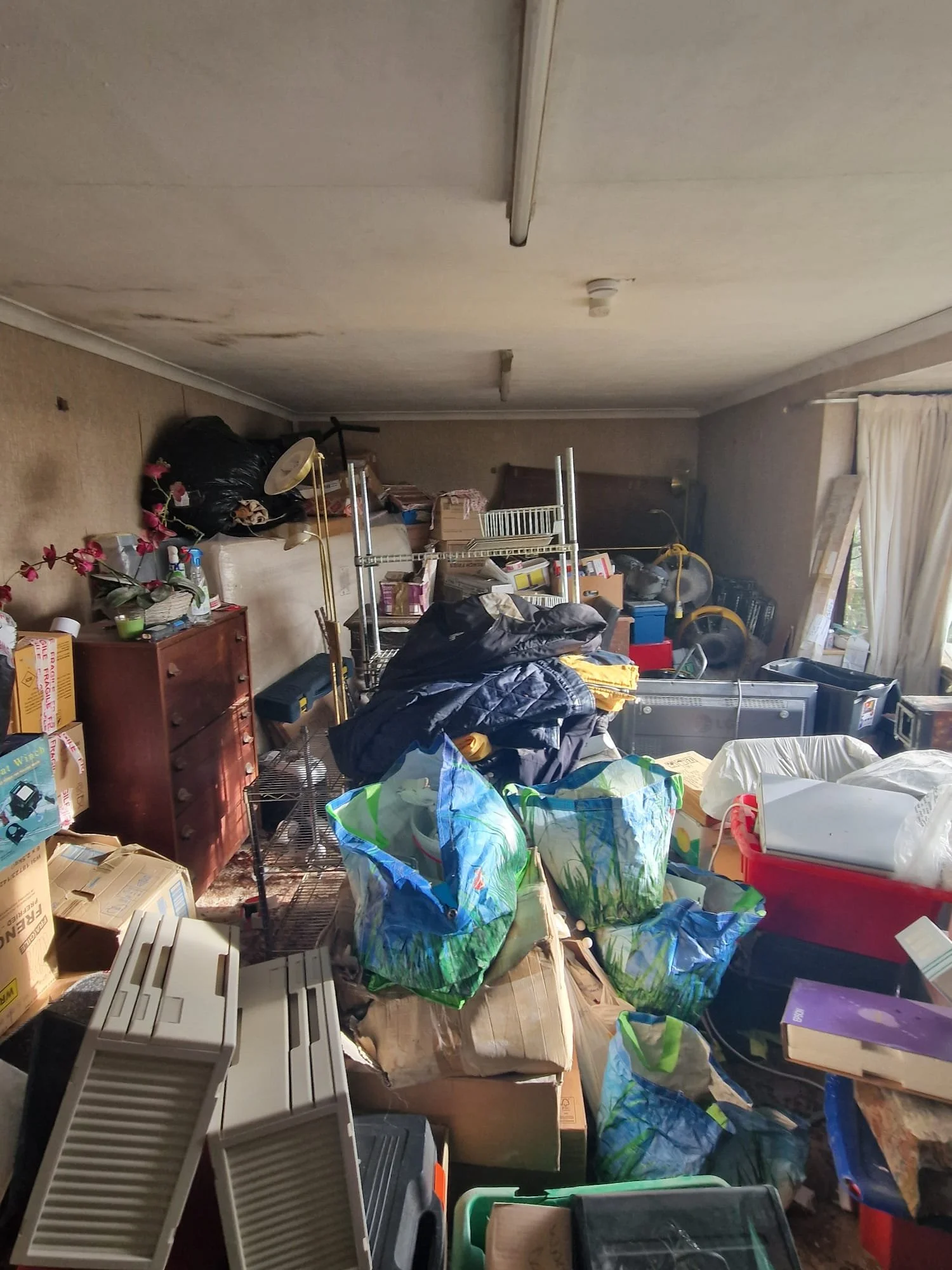 WhatsApp Image 2024-11-14 at 22.55.22 (12).jpeg