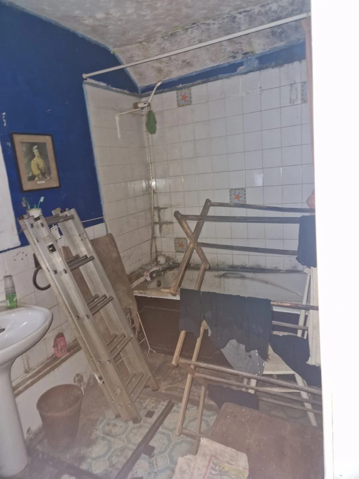 WhatsApp Image 2024-10-19 at 12.33.54 (3).jpeg