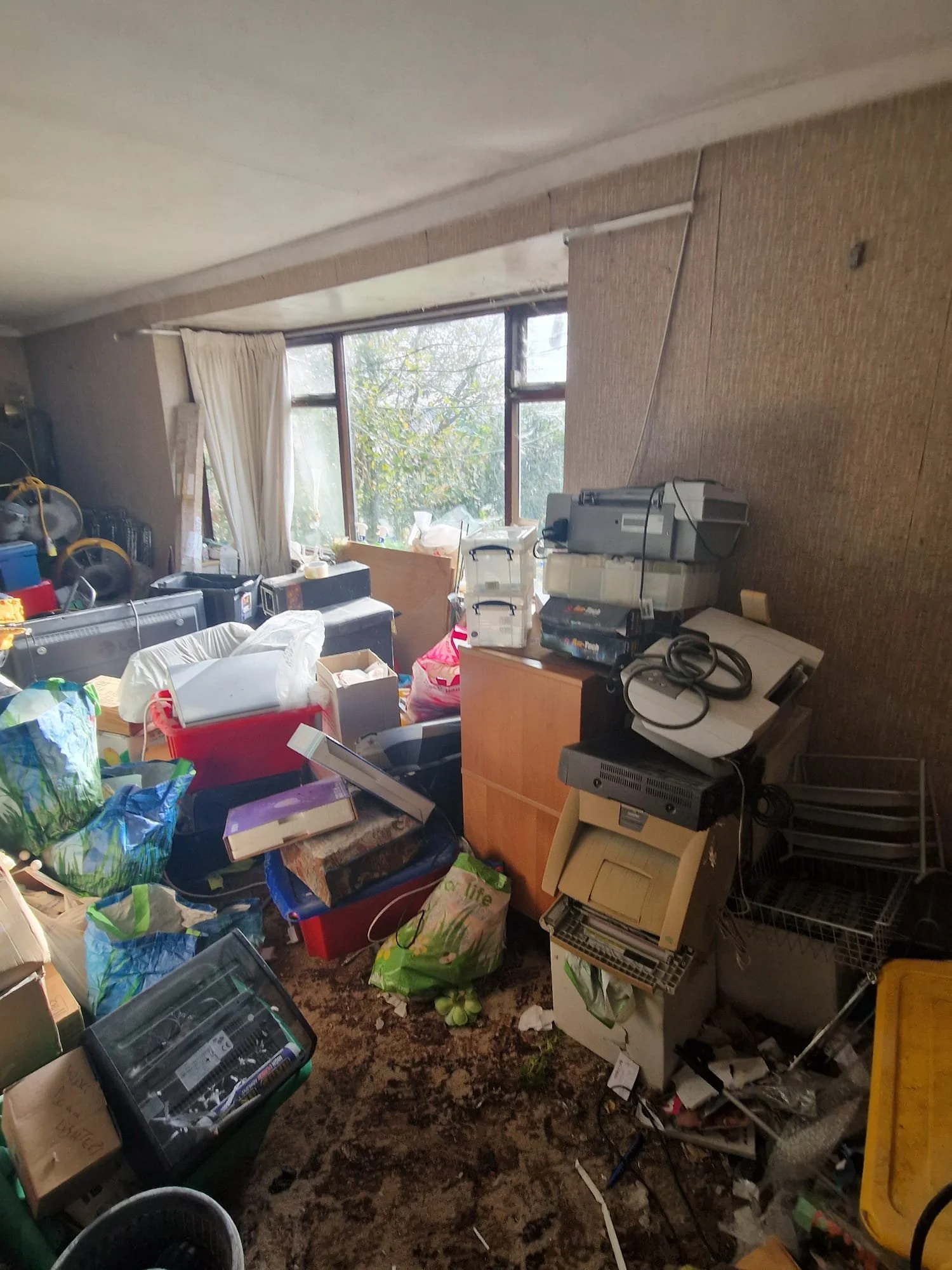 WhatsApp Image 2024-11-14 at 22.55.23 (2).jpeg