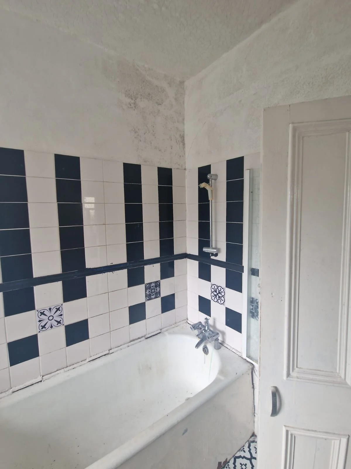 WhatsApp Image 2025-04-24 at 21.56.10 (3).jpeg