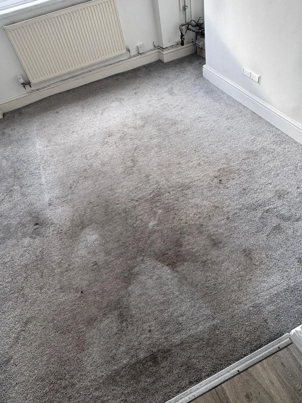 WhatsApp Image 2024-11-18 at 12.49.47 PM (3).jpeg