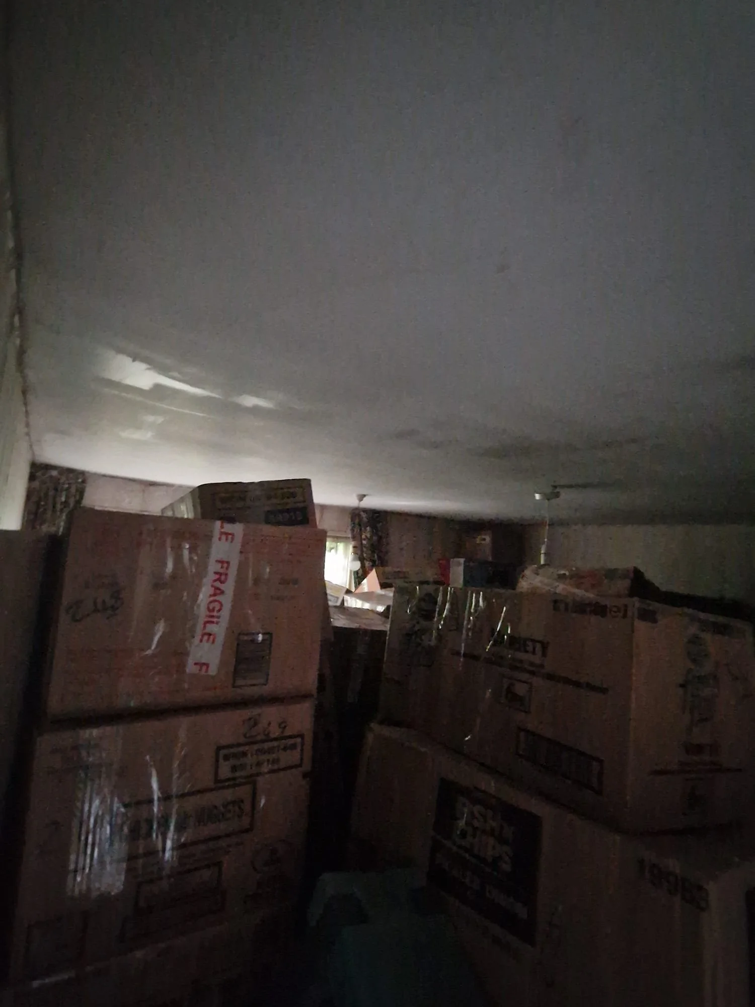 WhatsApp Image 2024-11-14 at 22.55.23 (7).jpeg