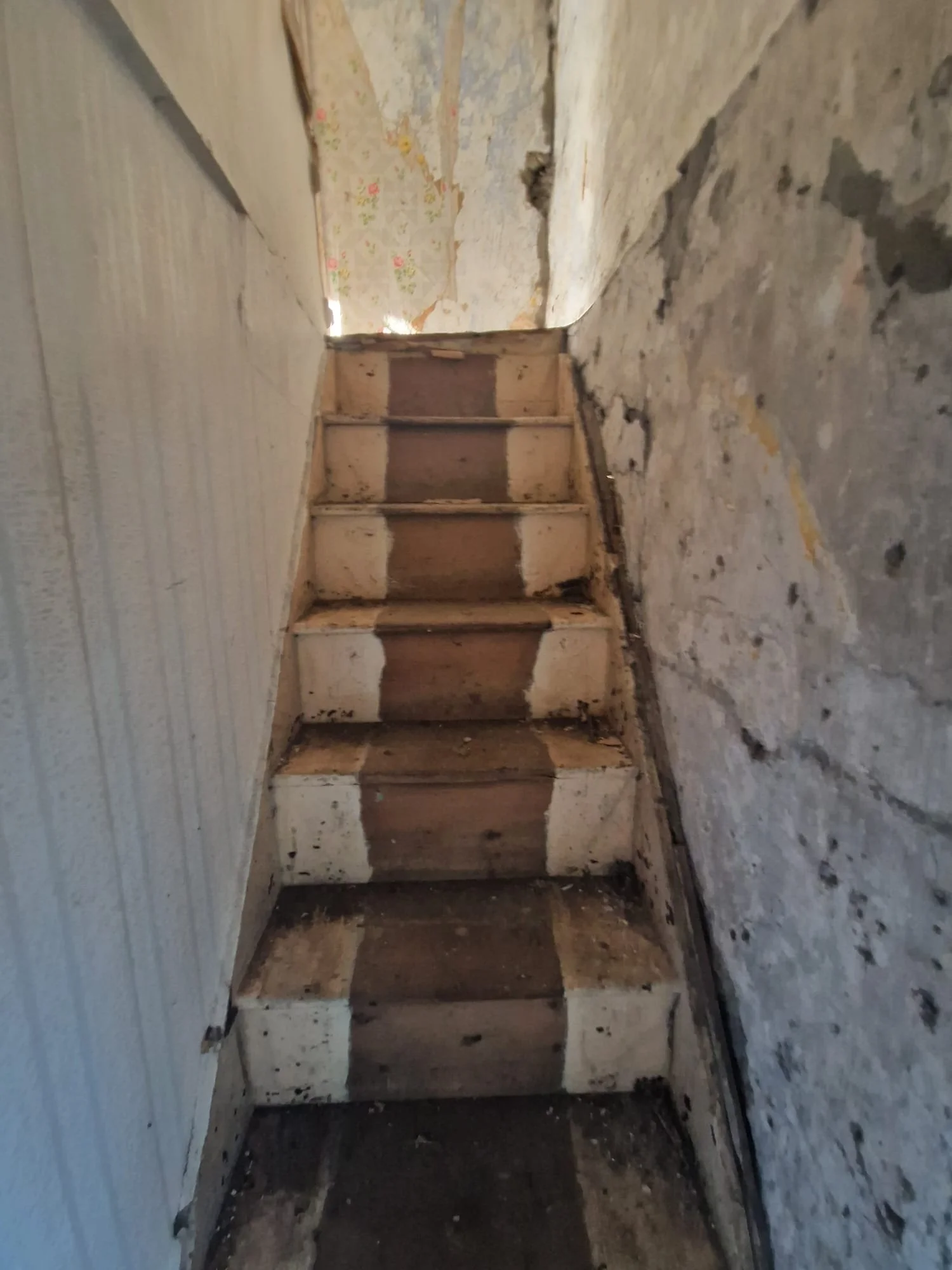 WhatsApp Image 2025-01-06 at 13.47.18 (2).jpeg