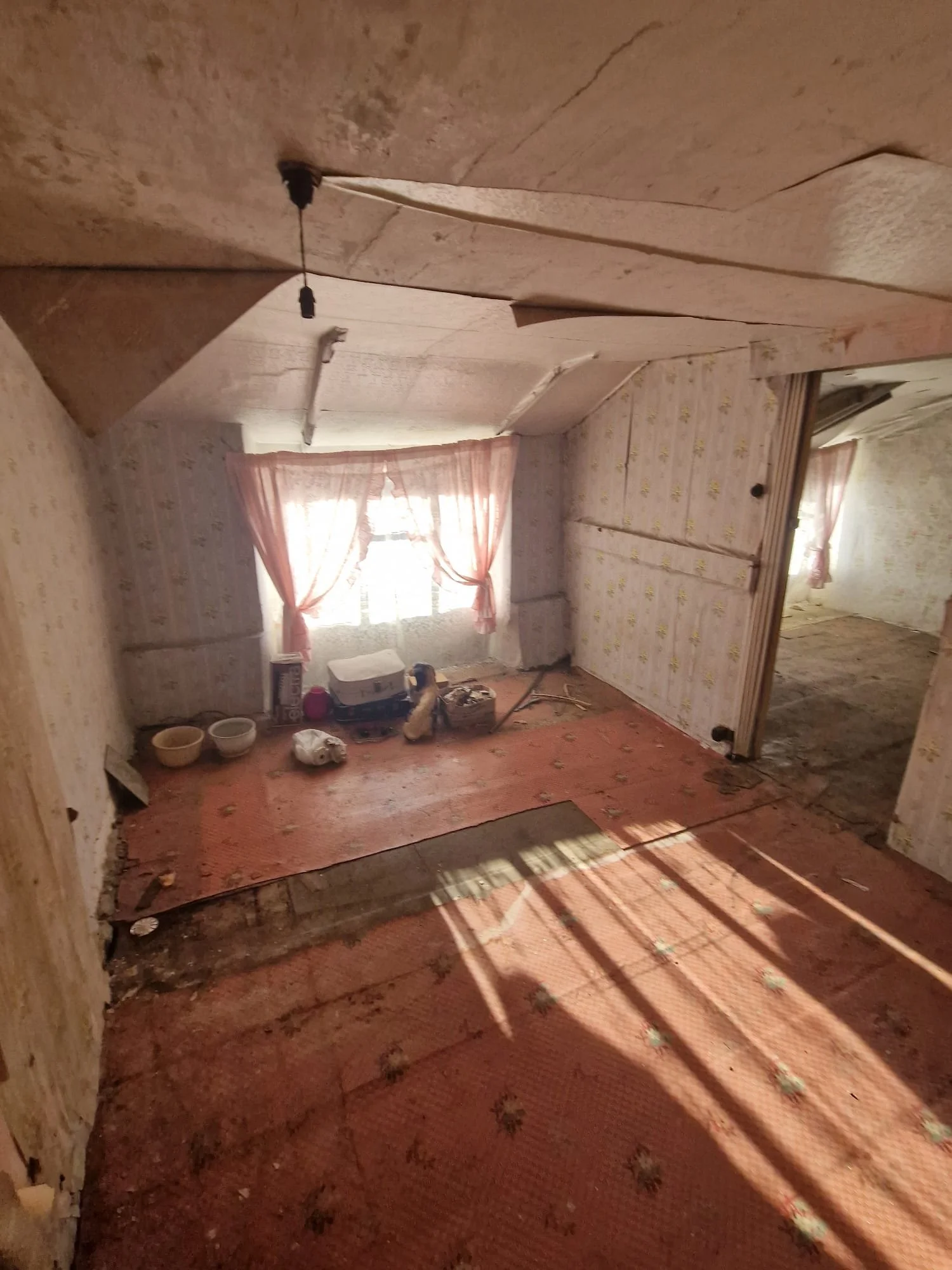 WhatsApp Image 2025-01-06 at 13.47.17 (2).jpeg