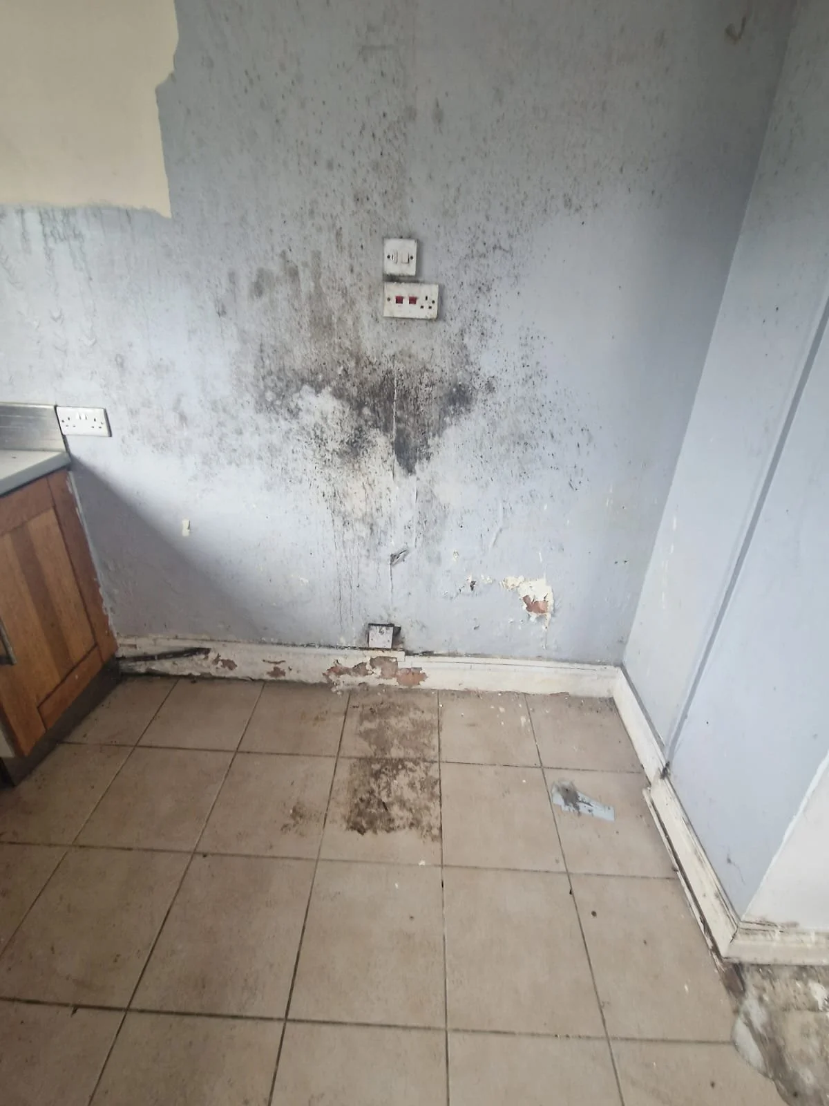 WhatsApp Image 2025-04-24 at 21.56.15 (1).jpeg