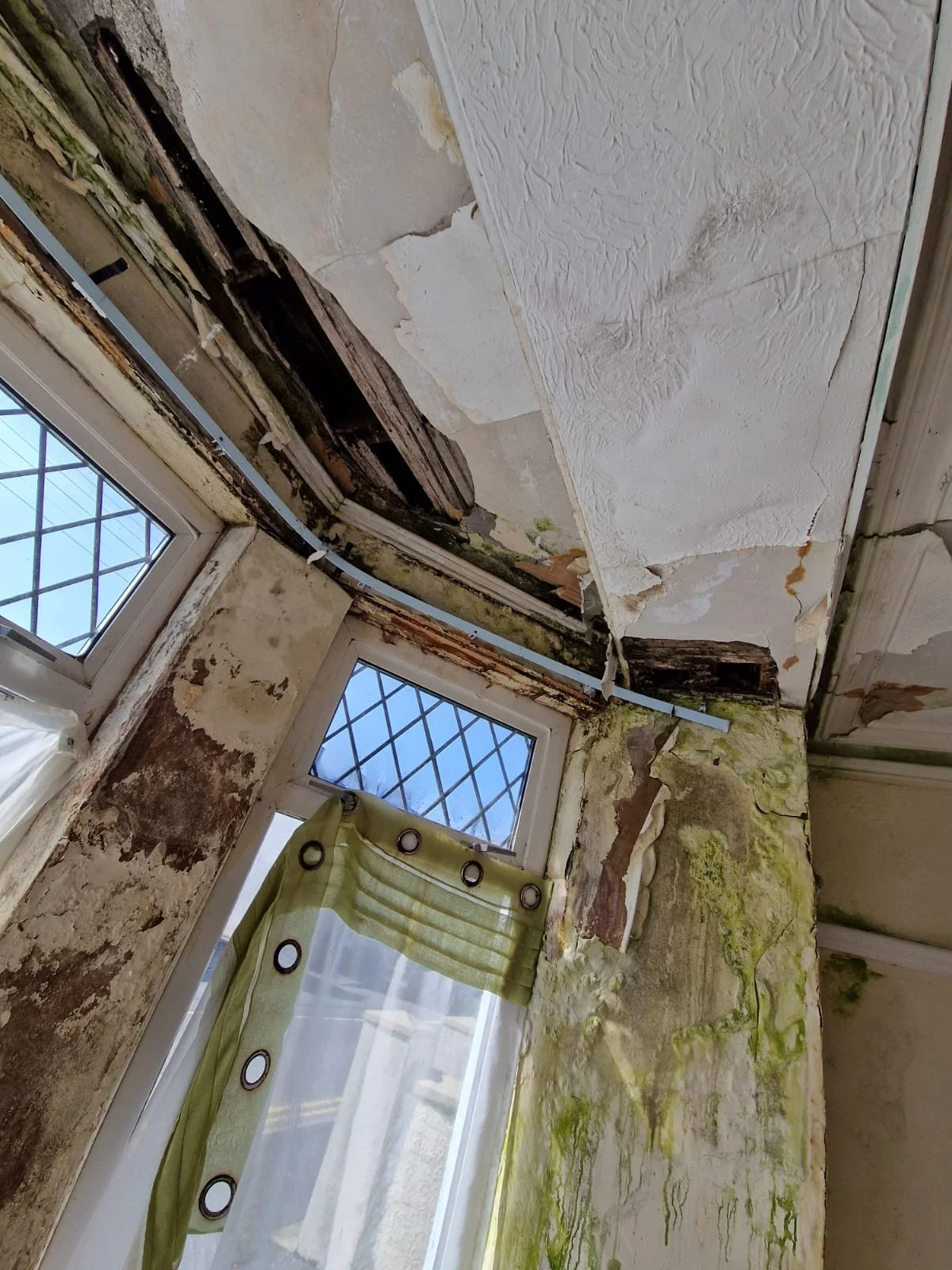 WhatsApp Image 2026-03-30 at 13.06.32 (2).jpeg