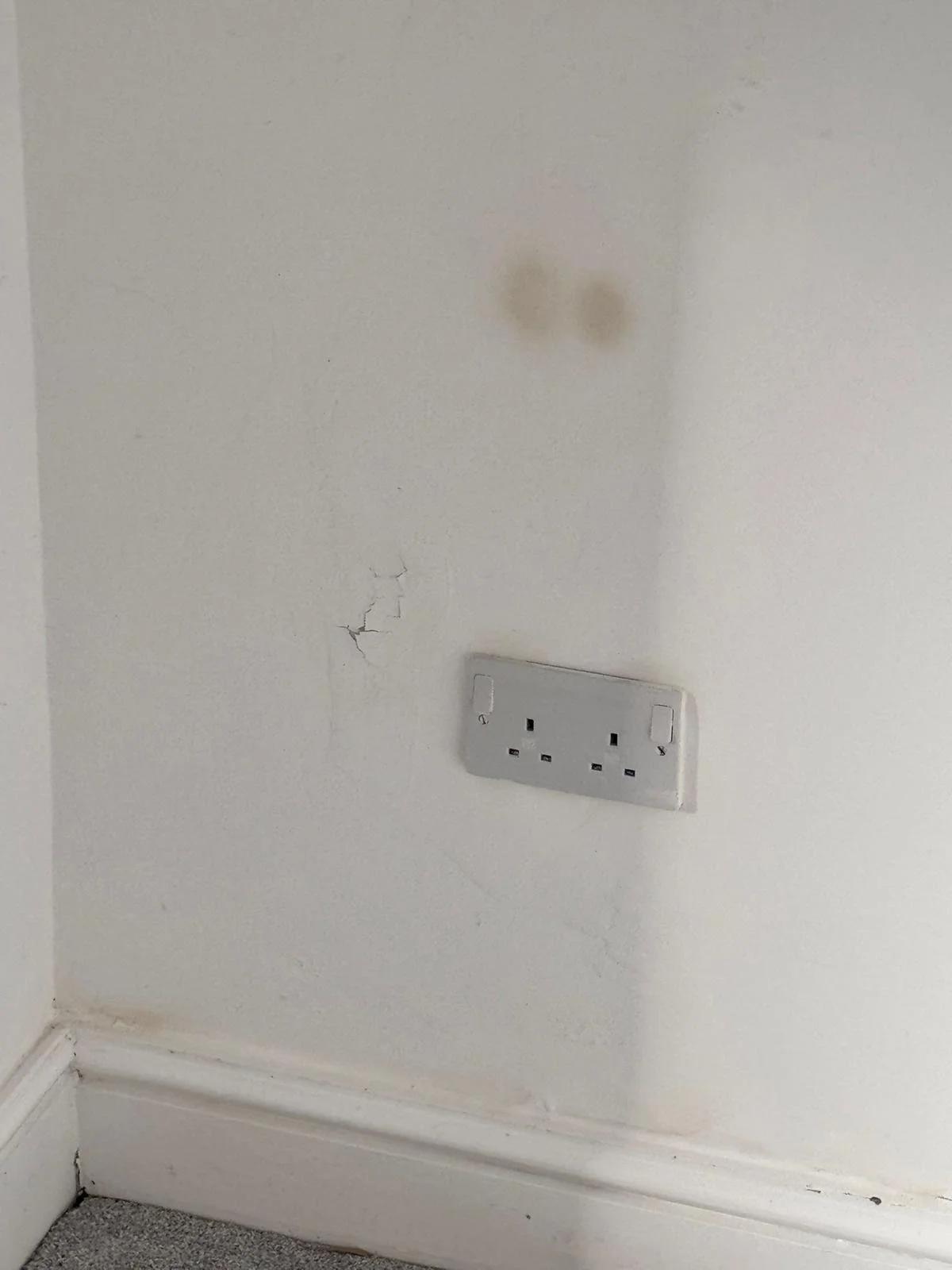 WhatsApp Image 2024-11-18 at 12.49.46 PM (6).jpeg