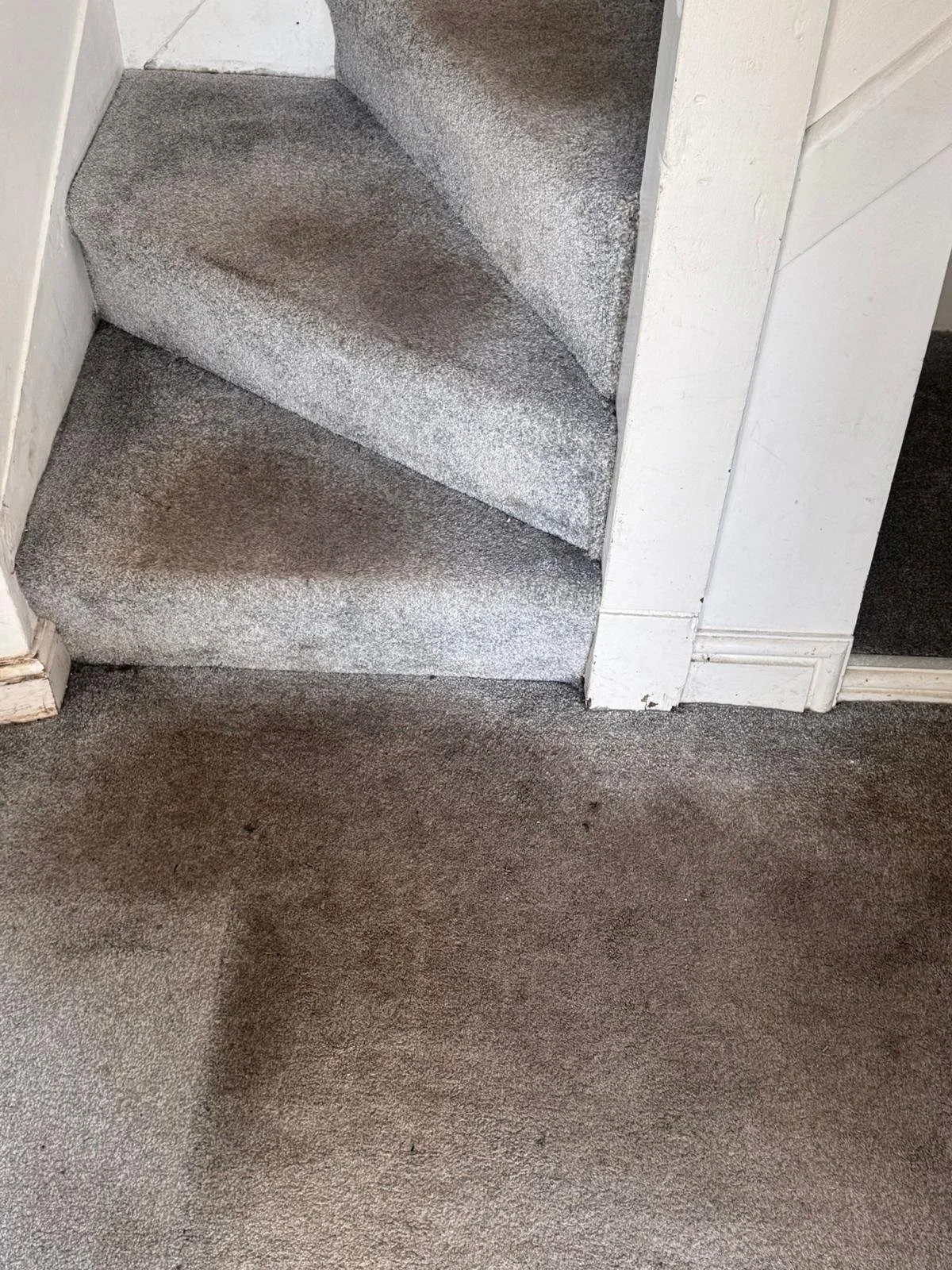 WhatsApp Image 2024-11-18 at 12.49.48 PM (1).jpeg