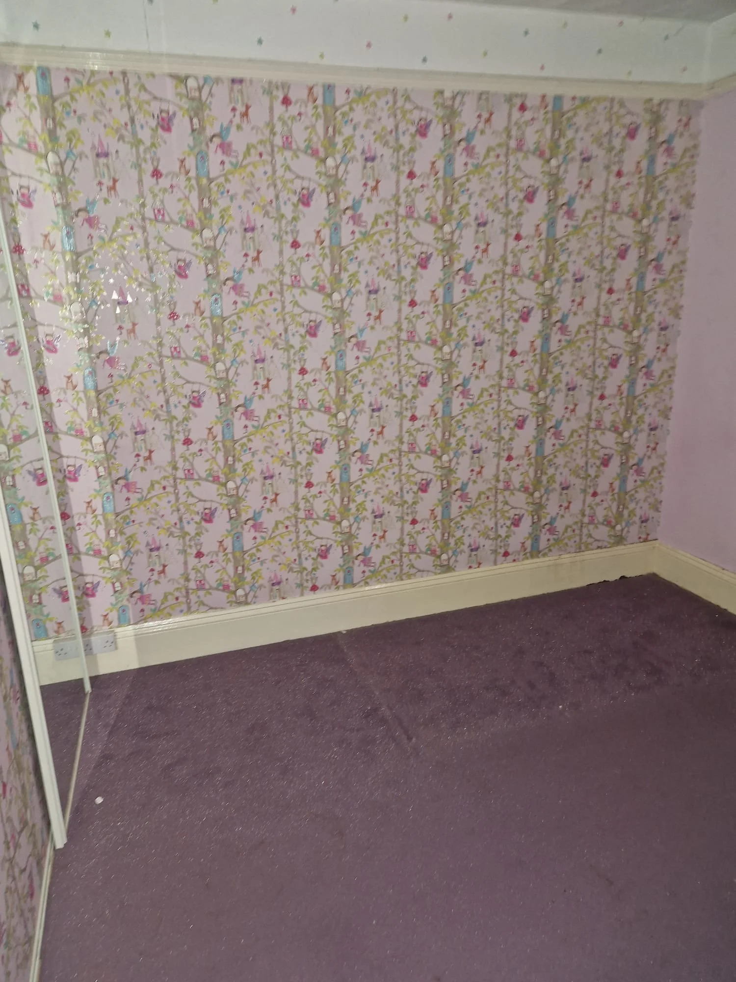 WhatsApp Image 2026-02-23 at 15.42.34.jpeg