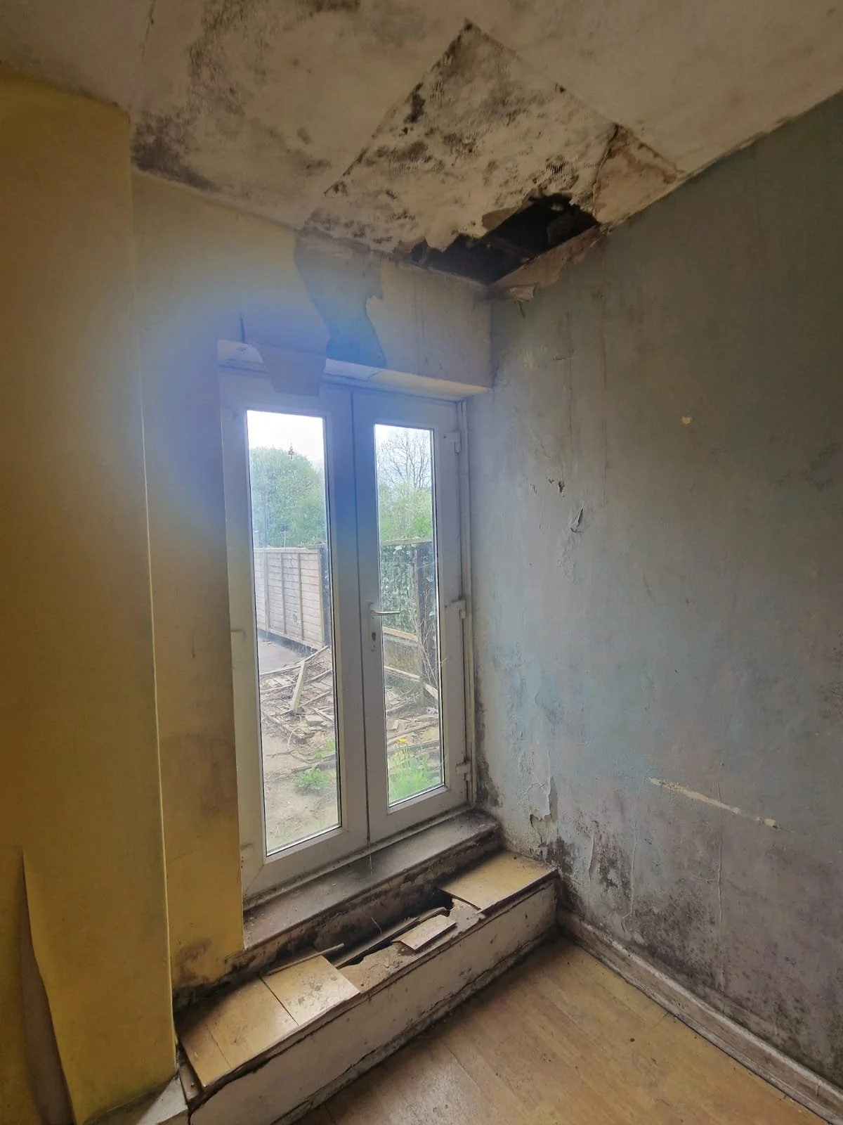 WhatsApp Image 2025-04-24 at 21.56.13 (2).jpeg