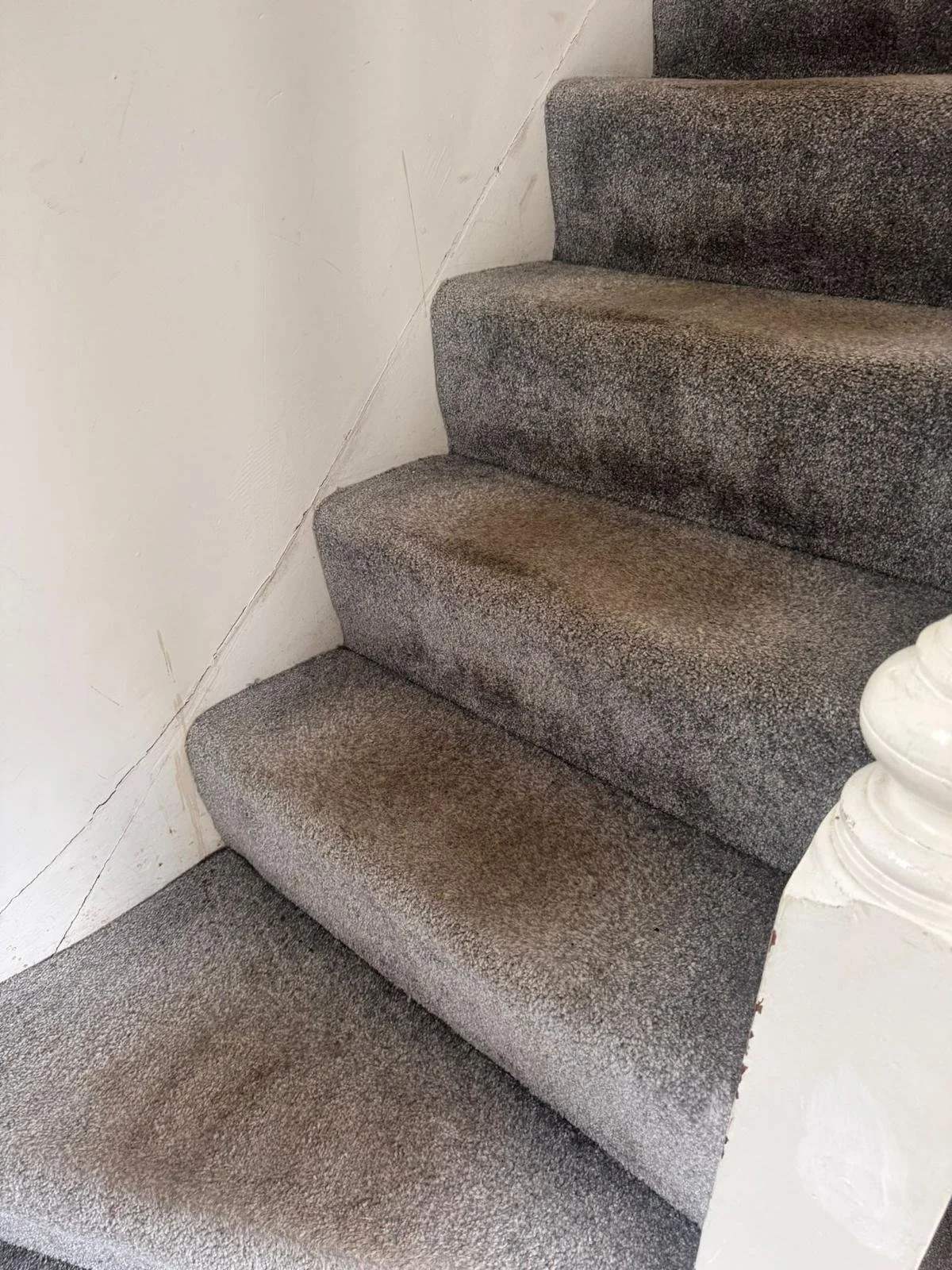 WhatsApp Image 2024-11-18 at 12.49.47 PM (5).jpeg