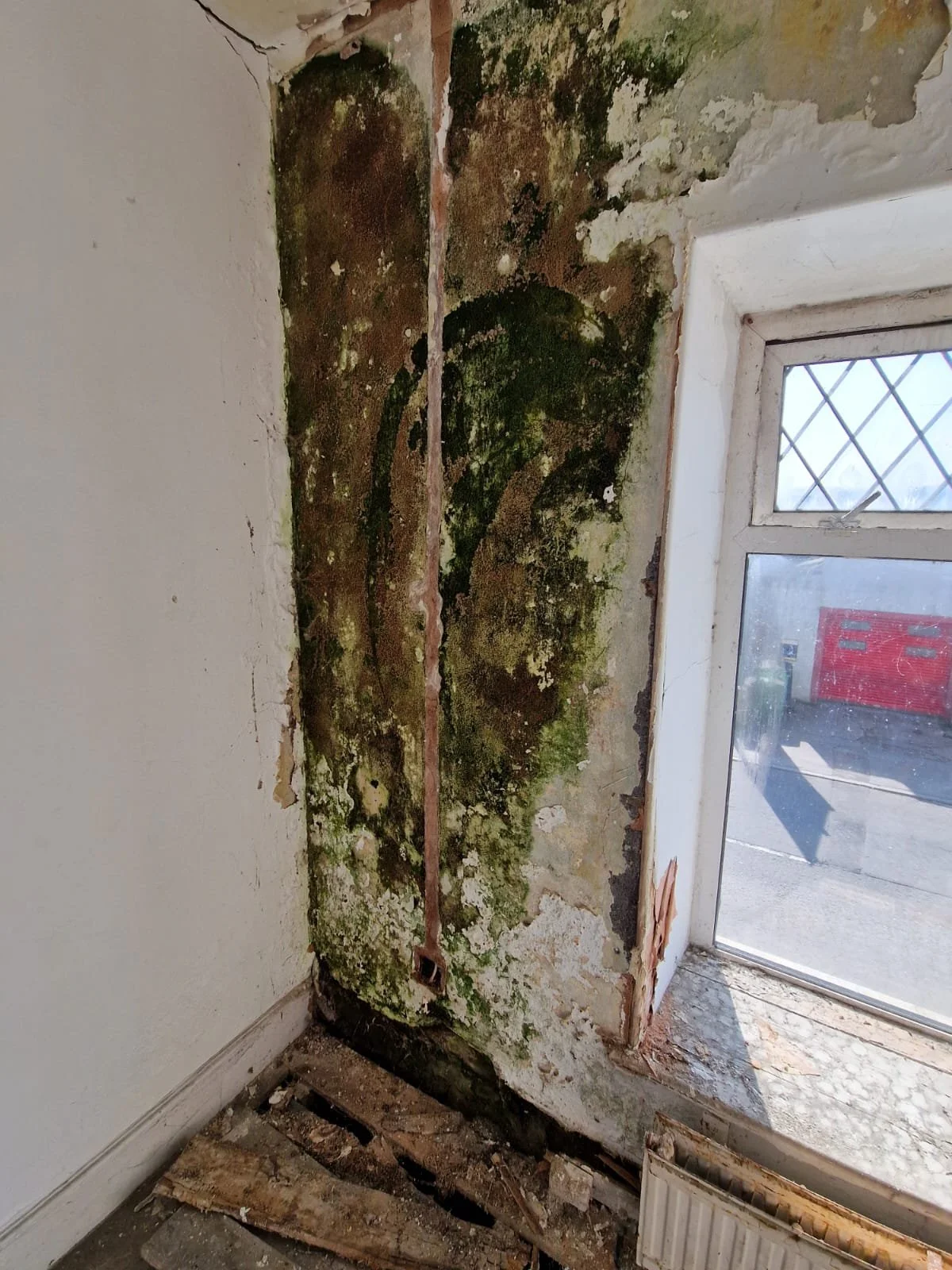 WhatsApp Image 2026-03-30 at 13.06.22.jpeg