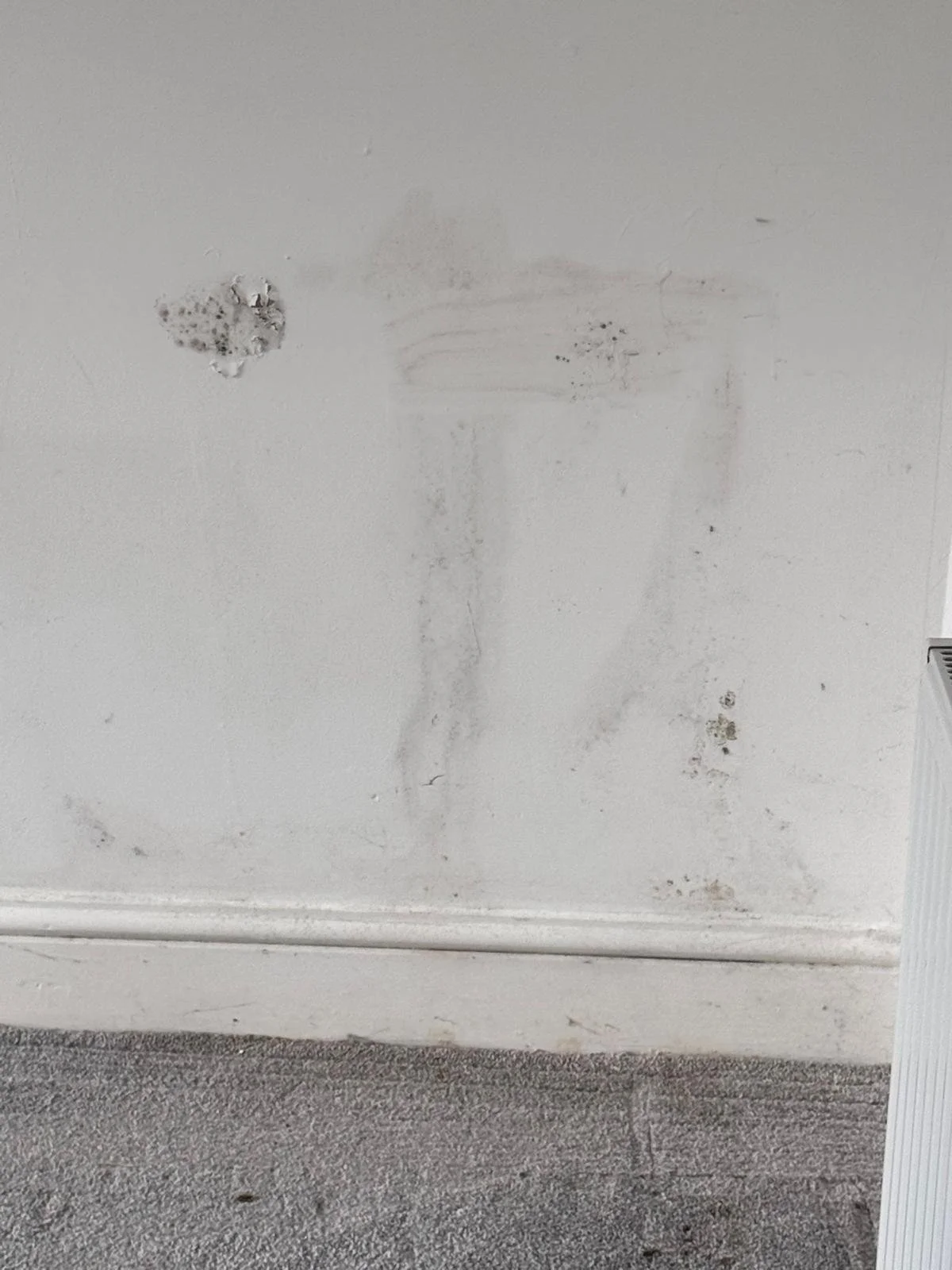 WhatsApp Image 2024-11-18 at 12.49.45 PM (6).jpeg