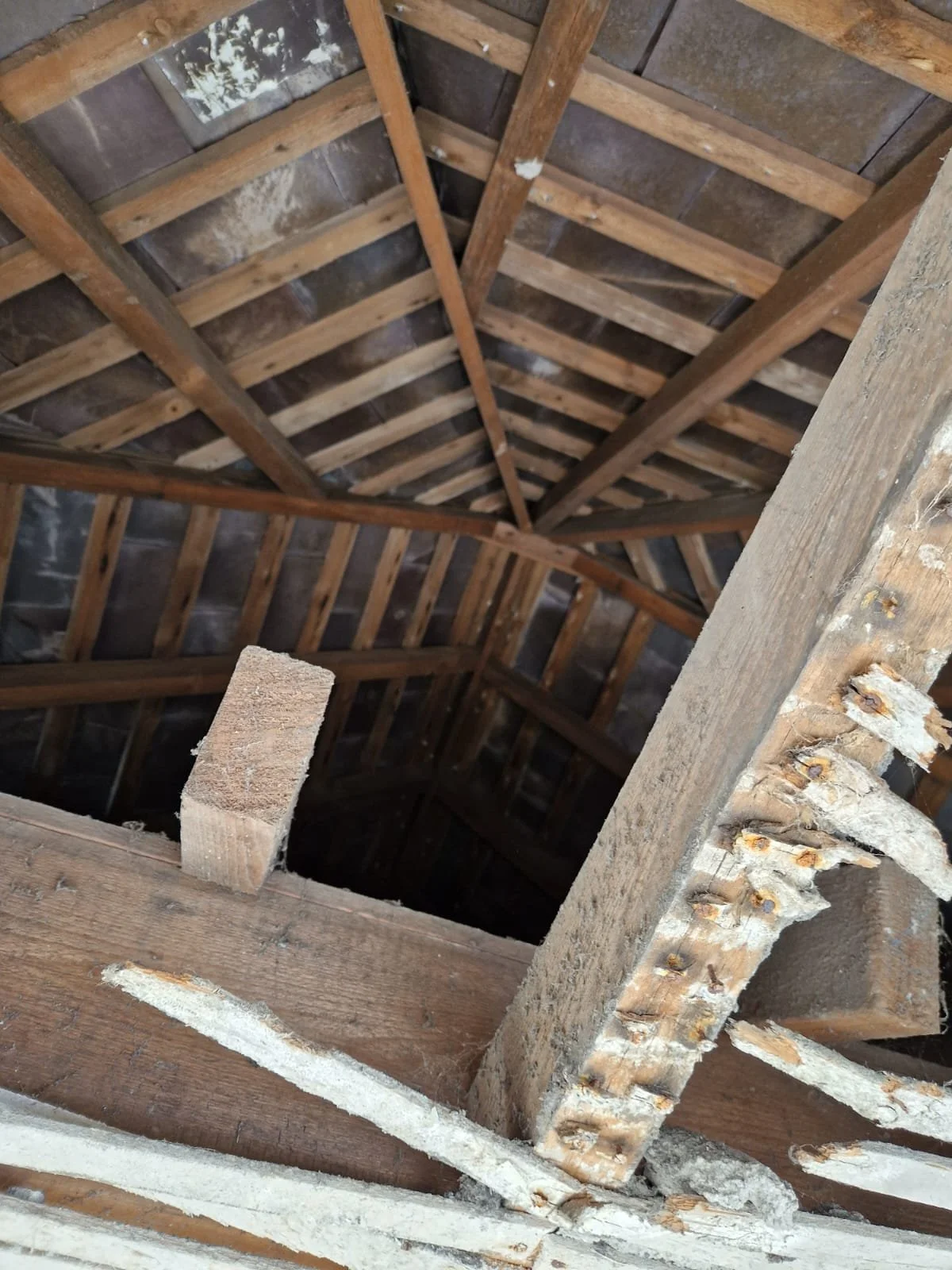 WhatsApp Image 2026-03-30 at 13.06.20 (2).jpeg