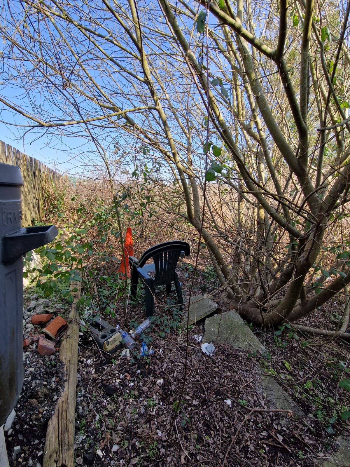 WhatsApp Image 2026-03-30 at 13.00.23.jpeg