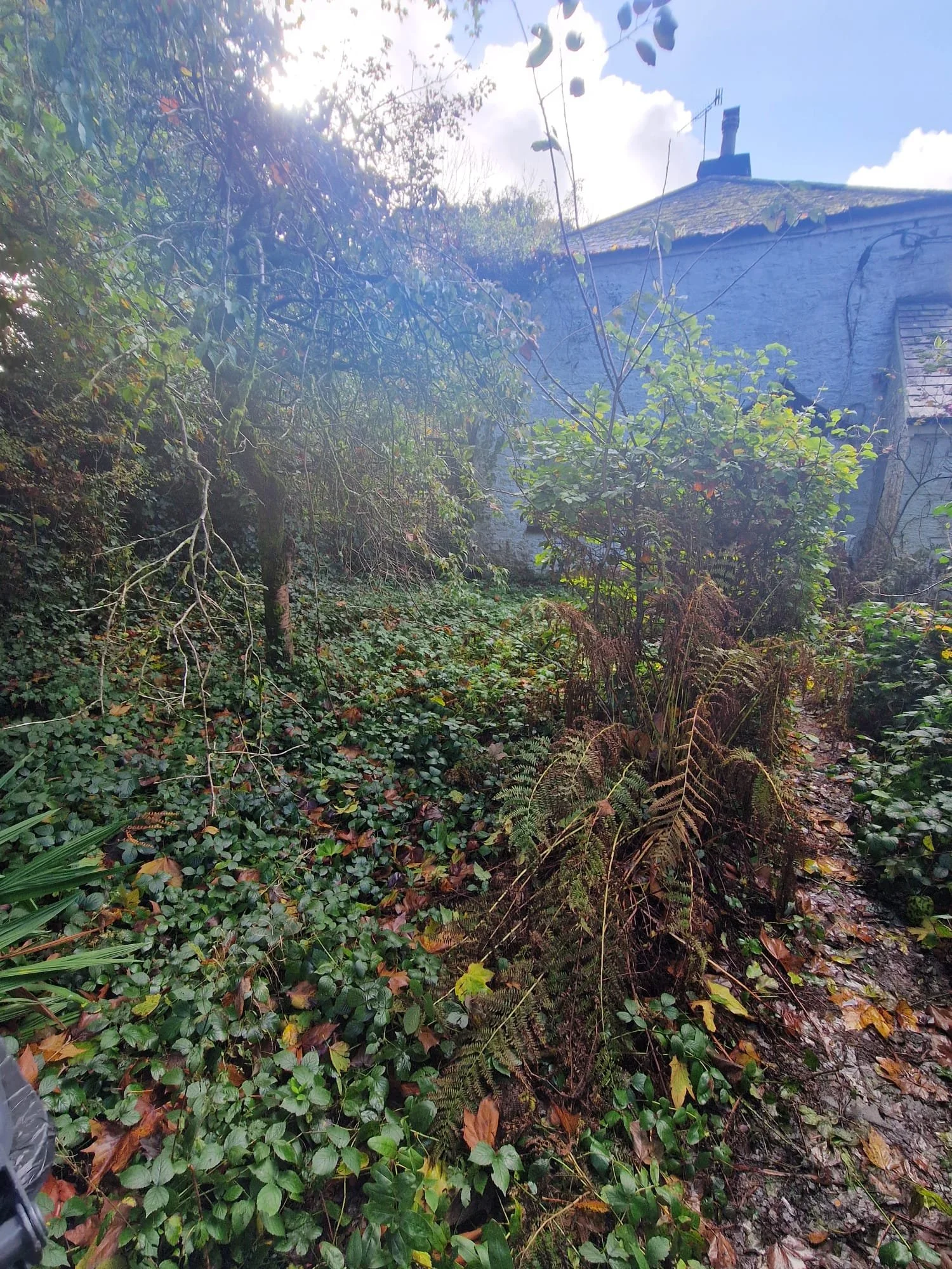 WhatsApp Image 2024-10-19 at 13.25.19.jpeg