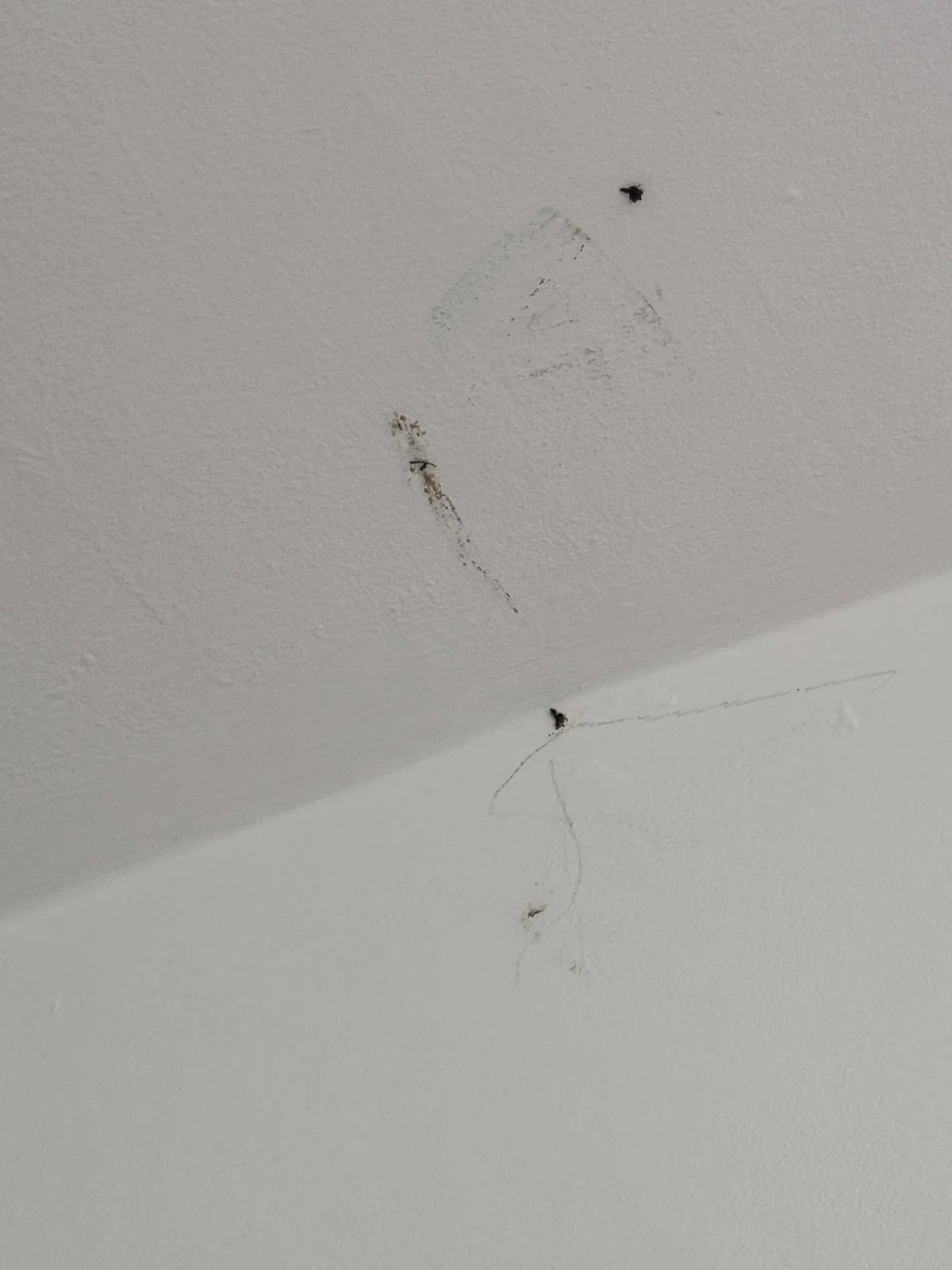 WhatsApp Image 2024-11-18 at 12.49.44 PM (1).jpeg