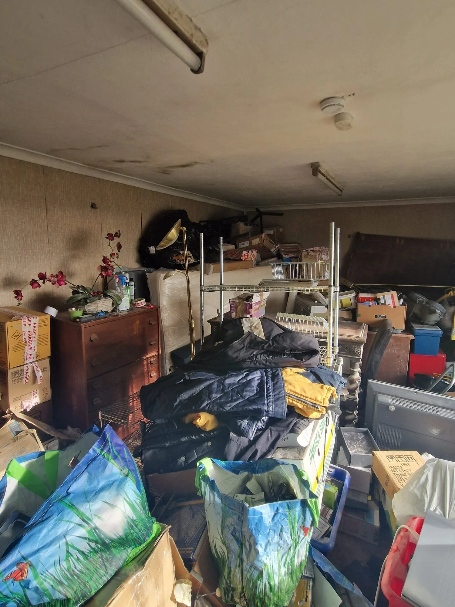 WhatsApp Image 2024-11-14 at 22.55.23.jpeg