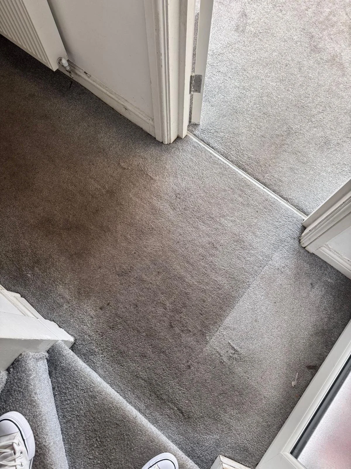 WhatsApp Image 2024-11-18 at 12.49.46 PM (3).jpeg