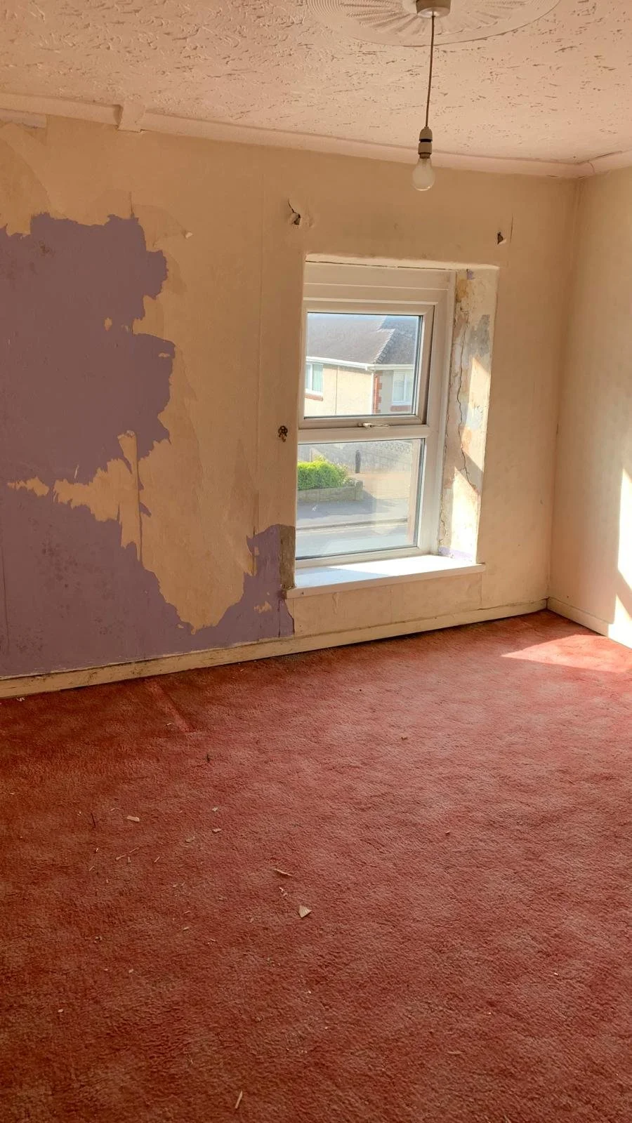 WhatsApp Image 2025-05-22 at 14.11.16.jpeg