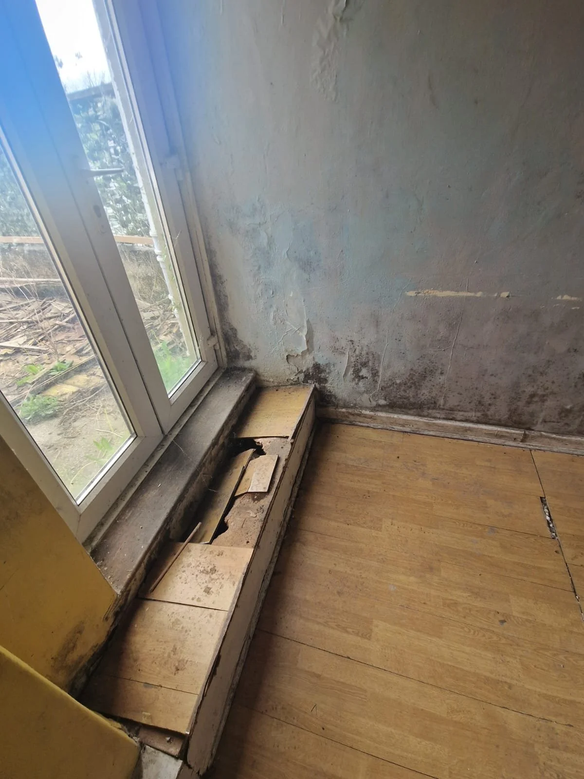 WhatsApp Image 2025-04-24 at 21.56.13.jpeg