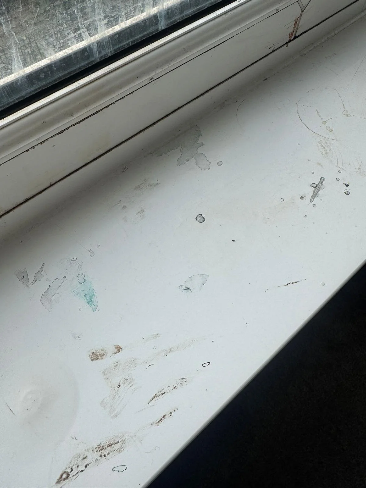 WhatsApp Image 2024-11-18 at 12.49.43 PM.jpeg