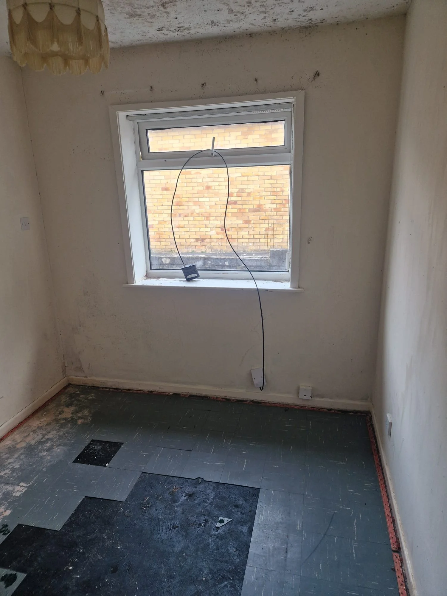 WhatsApp Image 2025-01-23 at 12.08.56 (8).jpeg