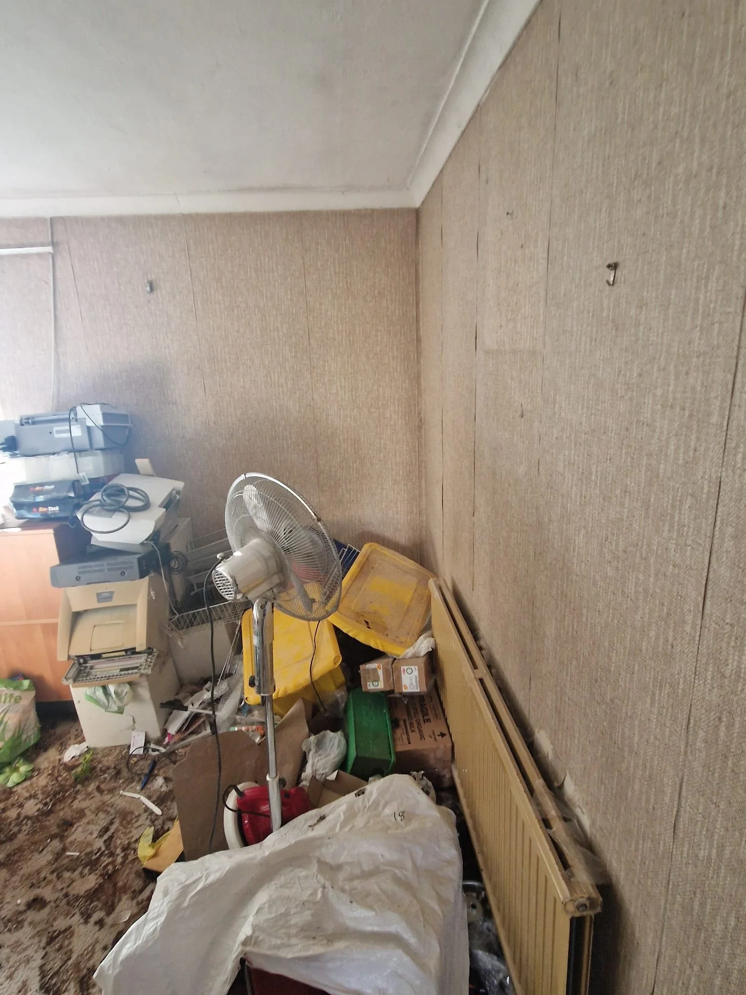 WhatsApp Image 2024-11-14 at 22.55.23 (3).jpeg