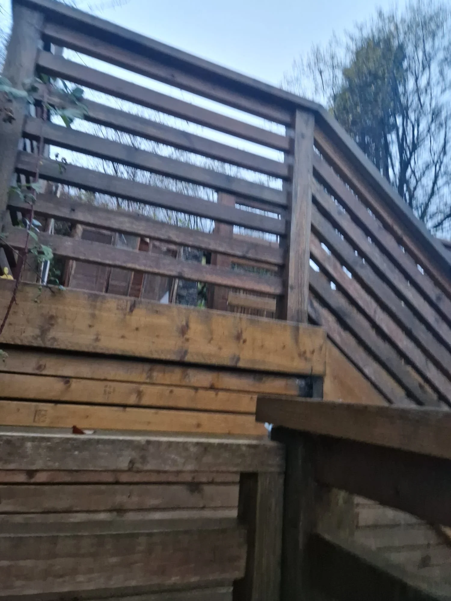 WhatsApp Image 2026-02-23 at 15.42.37 (5).jpeg