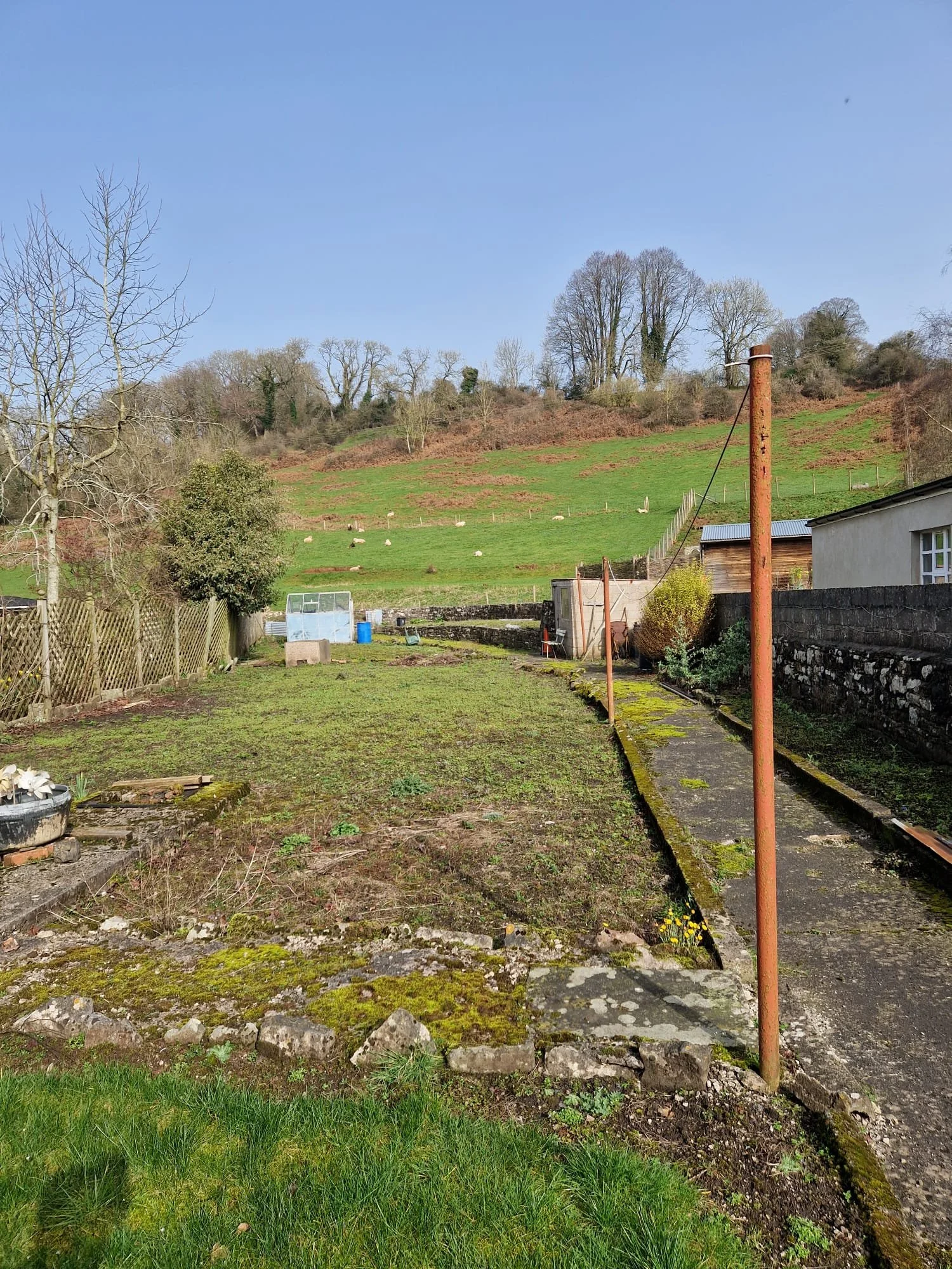 WhatsApp Image 2026-03-08 at 17.09.04 (1).jpeg