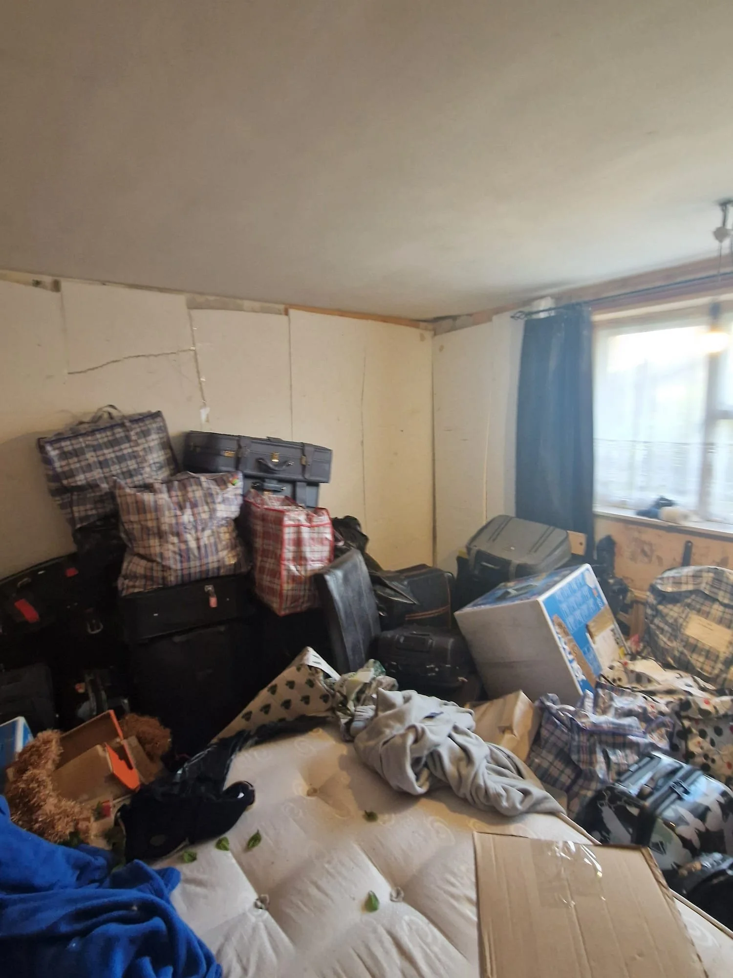 WhatsApp Image 2024-11-14 at 22.55.23 (6).jpeg