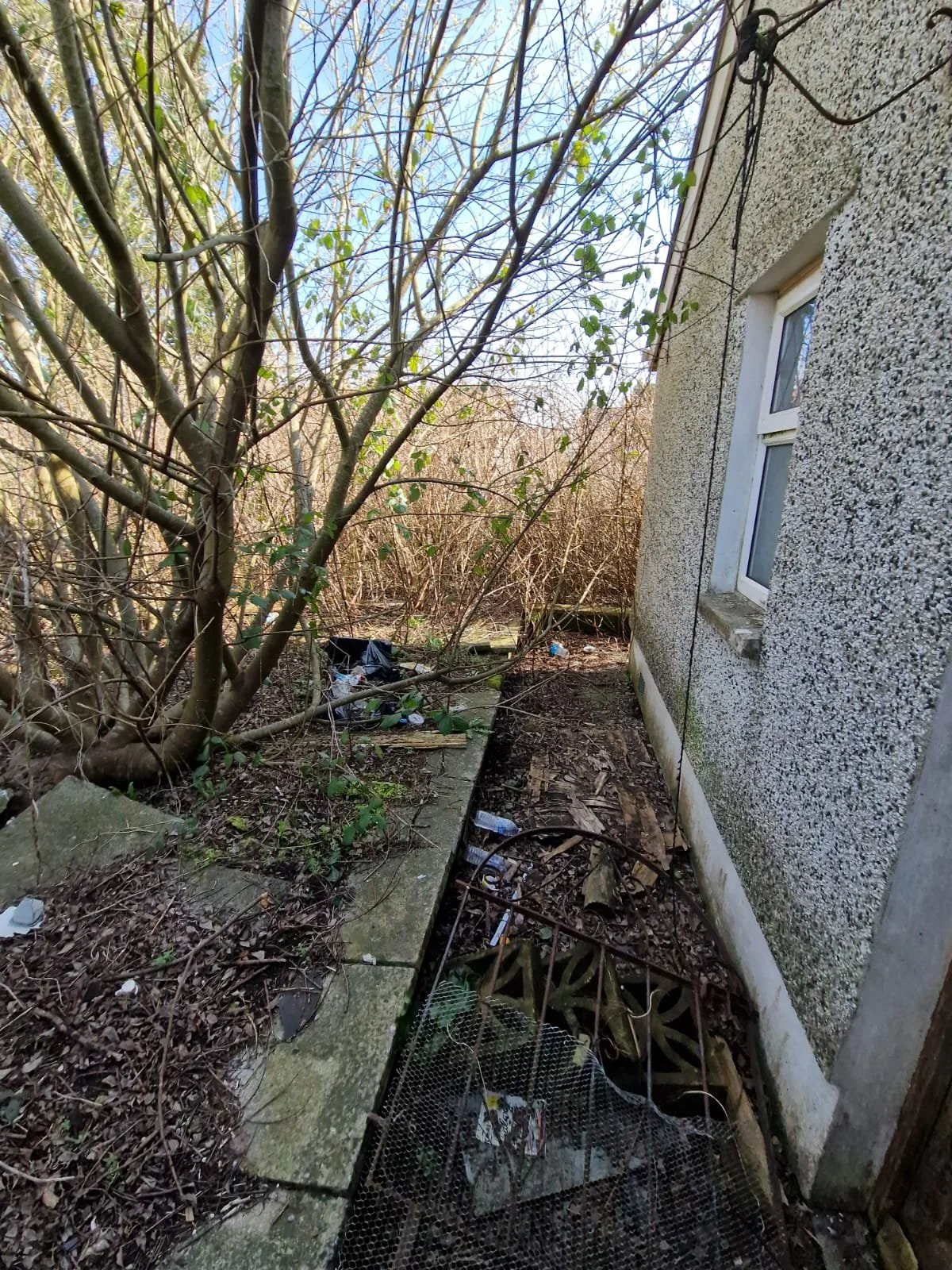 WhatsApp Image 2026-03-30 at 13.06.30.jpeg