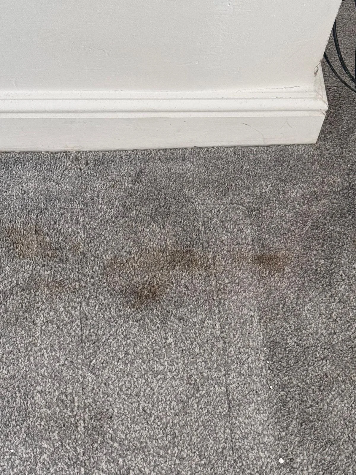 WhatsApp Image 2024-11-18 at 12.49.48 PM (3).jpeg