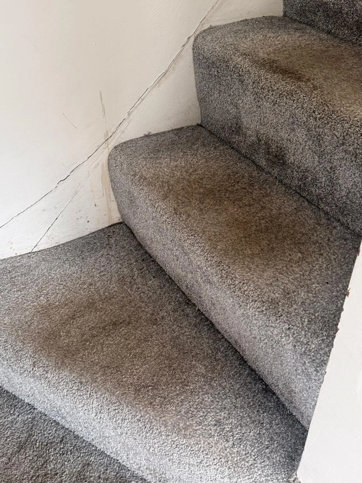 WhatsApp Image 2024-11-18 at 12.49.47 PM (4).jpeg